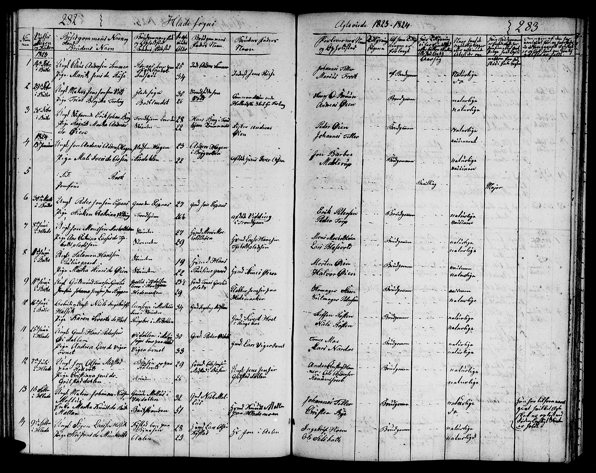 Ministerialprotokoller, klokkerbøker og fødselsregistre - Sør-Trøndelag, SAT/A-1456/606/L0306: Parish register (copy) no. 606C02, 1797-1829, p. 282-283