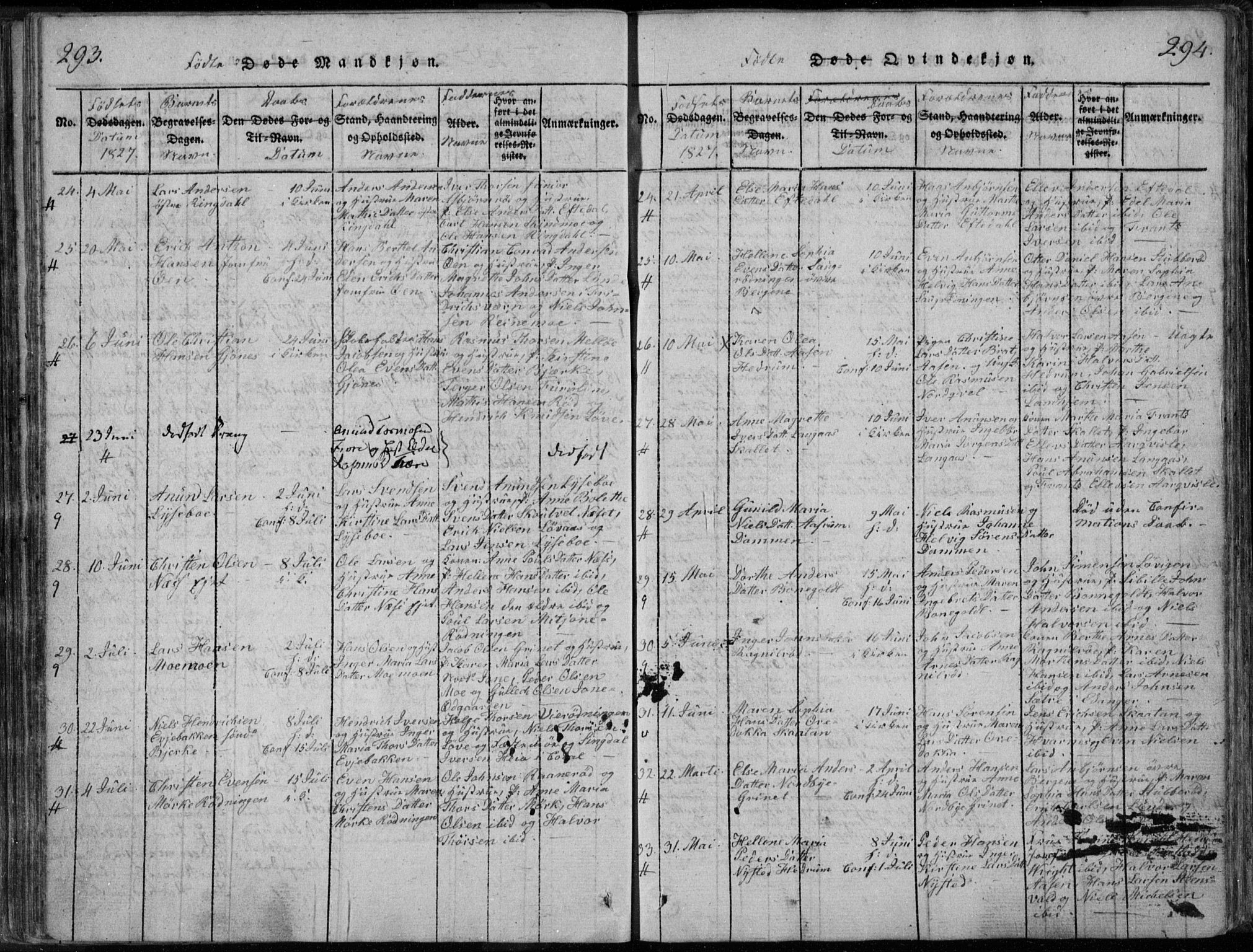 Hedrum kirkebøker, AV/SAKO-A-344/F/Fa/L0004: Parish register (official) no. I 4, 1817-1835, p. 293-294