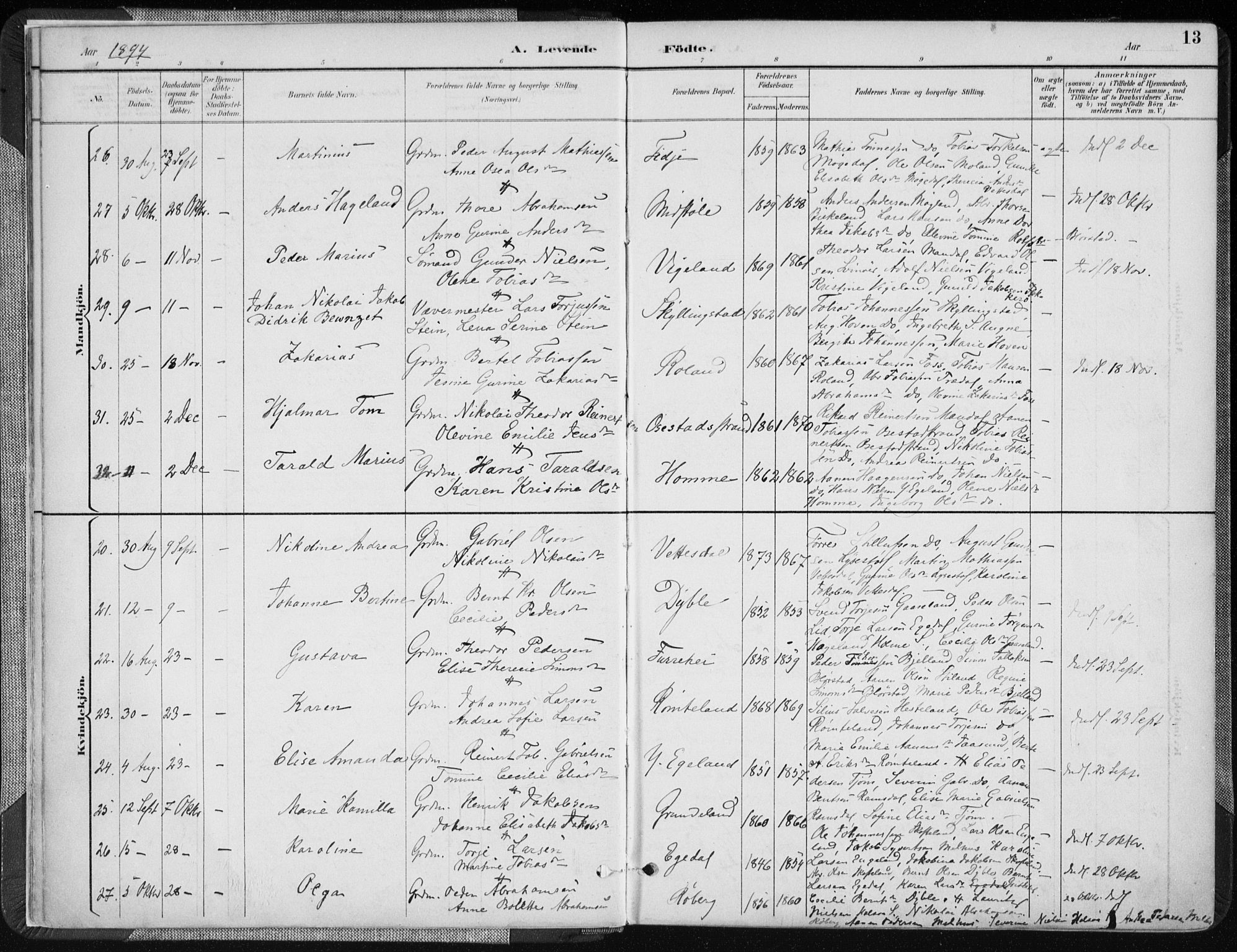 Sør-Audnedal sokneprestkontor, AV/SAK-1111-0039/F/Fa/Fab/L0010: Parish register (official) no. A 10, 1892-1913, p. 13