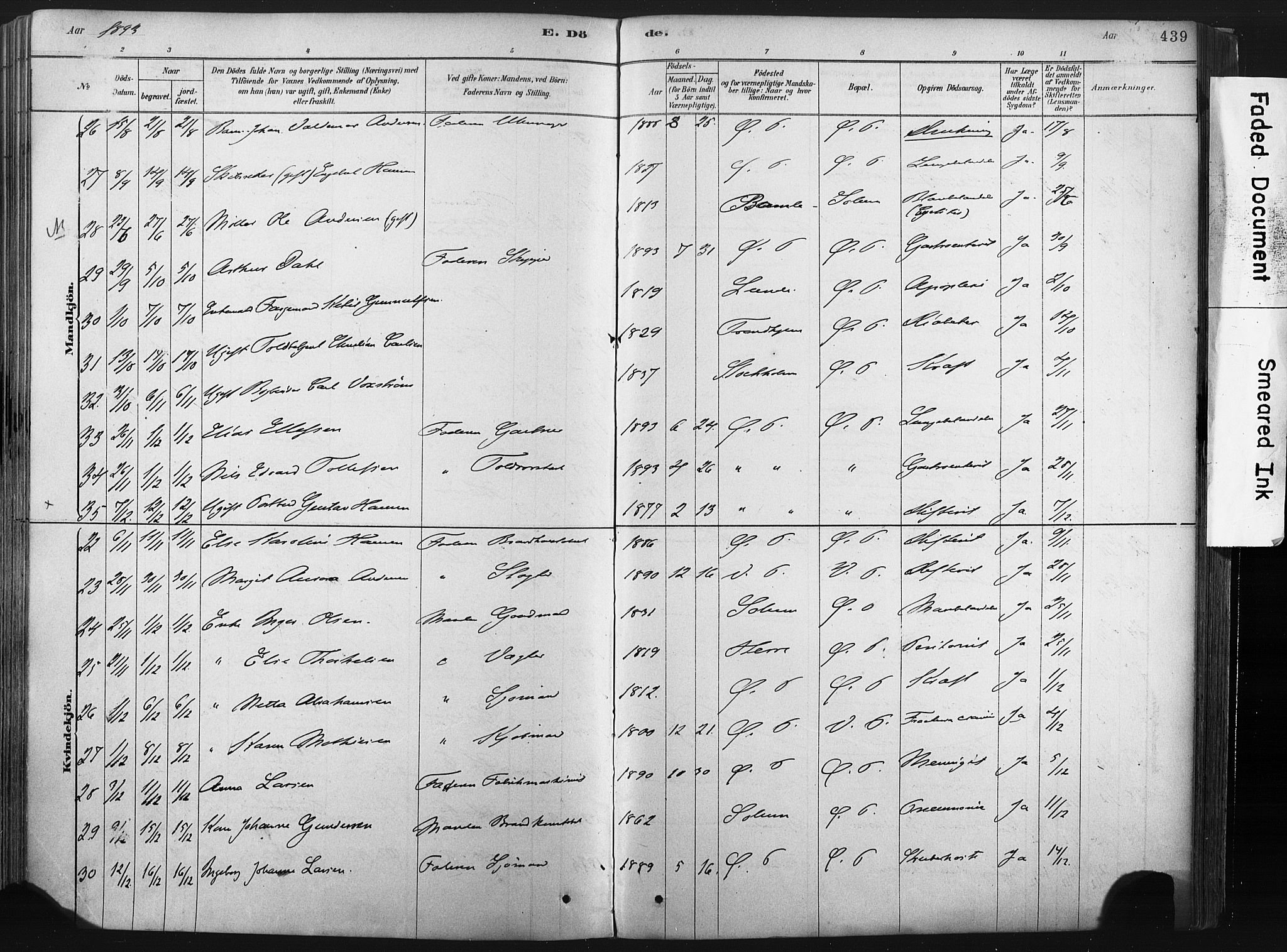 Porsgrunn kirkebøker , AV/SAKO-A-104/F/Fa/L0008: Parish register (official) no. 8, 1878-1895, p. 439