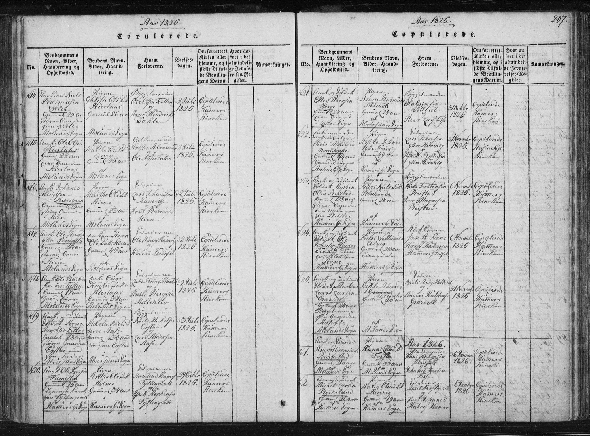 Hamre sokneprestembete, AV/SAB-A-75501/H/Ha/Haa/Haaa/L0010: Parish register (official) no. A 10, 1816-1826, p. 207