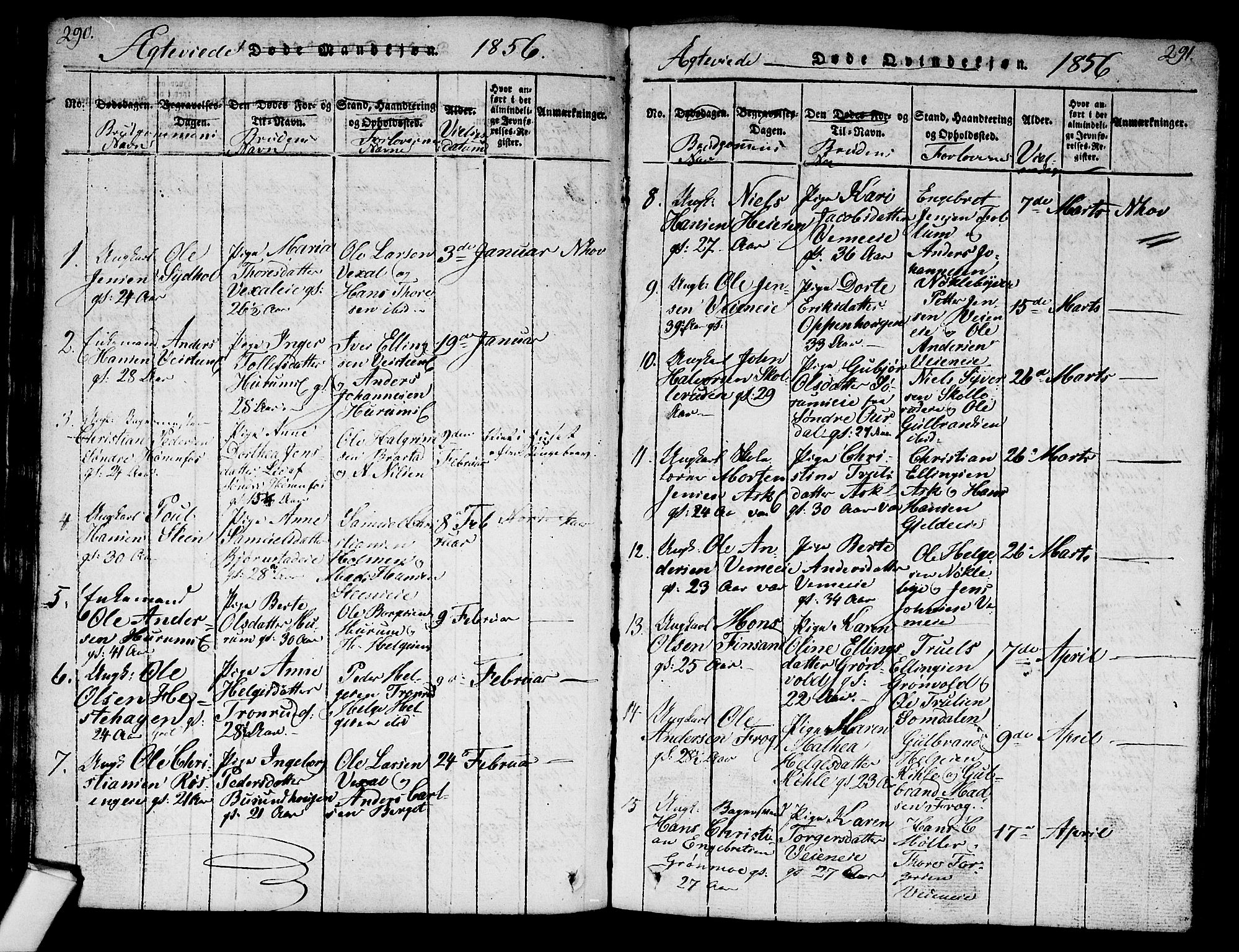 Norderhov kirkebøker, AV/SAKO-A-237/G/Ga/L0003: Parish register (copy) no. I 3 /1, 1814-1876, p. 290-291