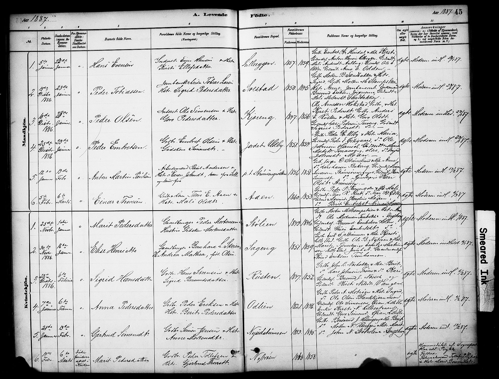 Tynset prestekontor, SAH/PREST-058/H/Ha/Hab/L0006: Parish register (copy) no. 6, 1880-1899, p. 45