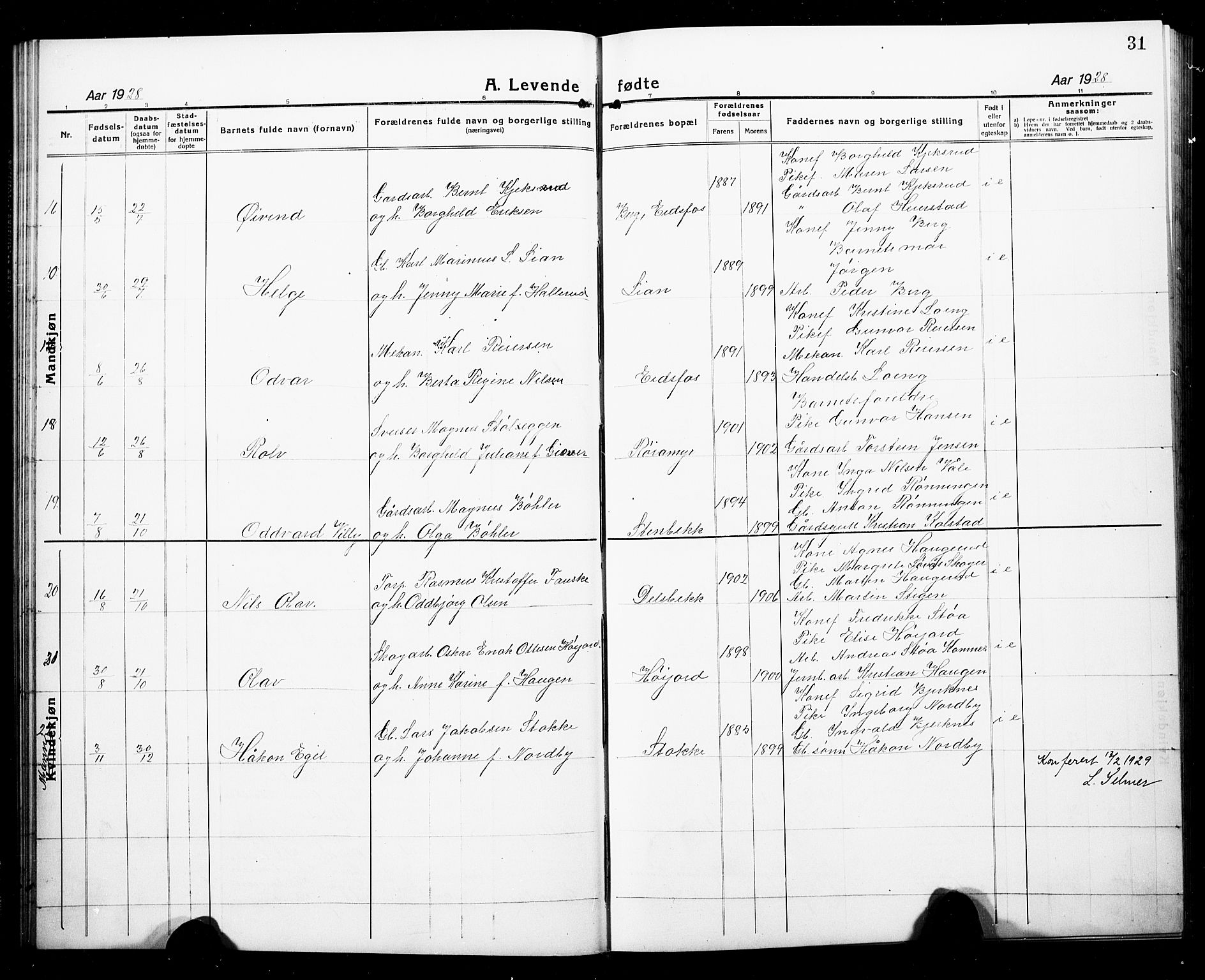 Hof kirkebøker, SAKO/A-64/G/Ga/L0006: Parish register (copy) no. I 6, 1922-1930, p. 31