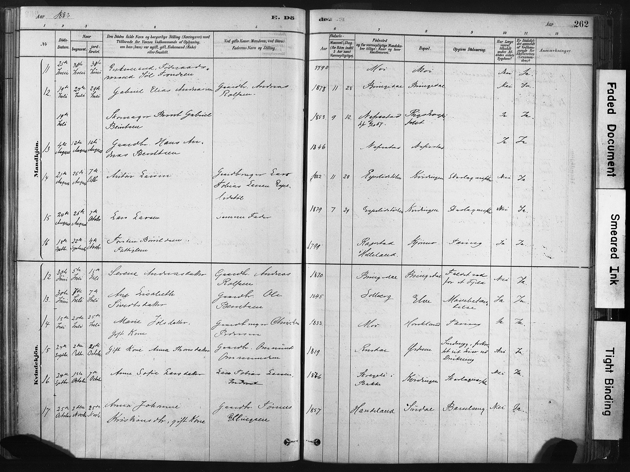 Lund sokneprestkontor, AV/SAST-A-101809/S06/L0011: Parish register (official) no. A 10, 1877-1904, p. 262