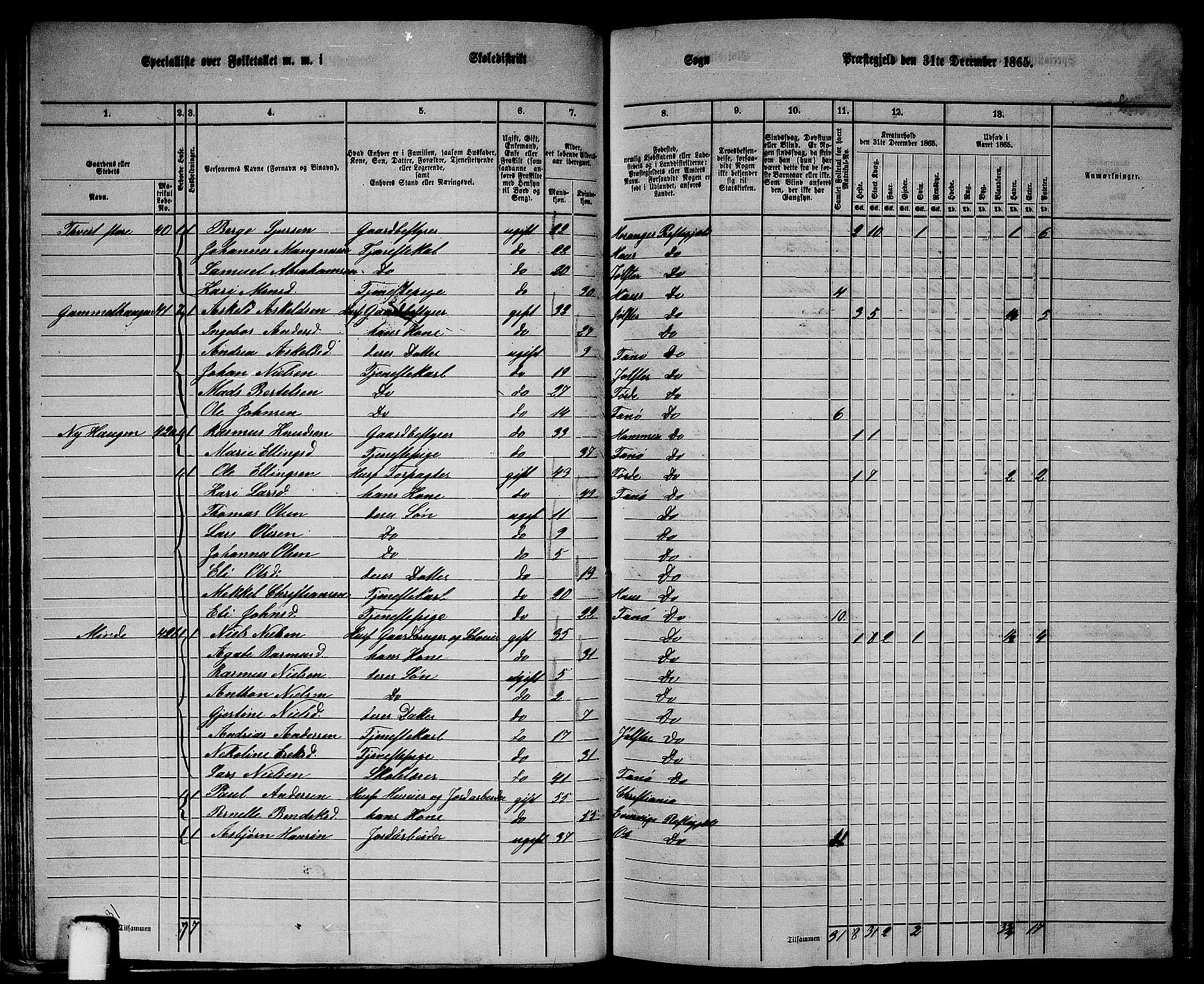 RA, 1865 census for Fana, 1865, p. 35