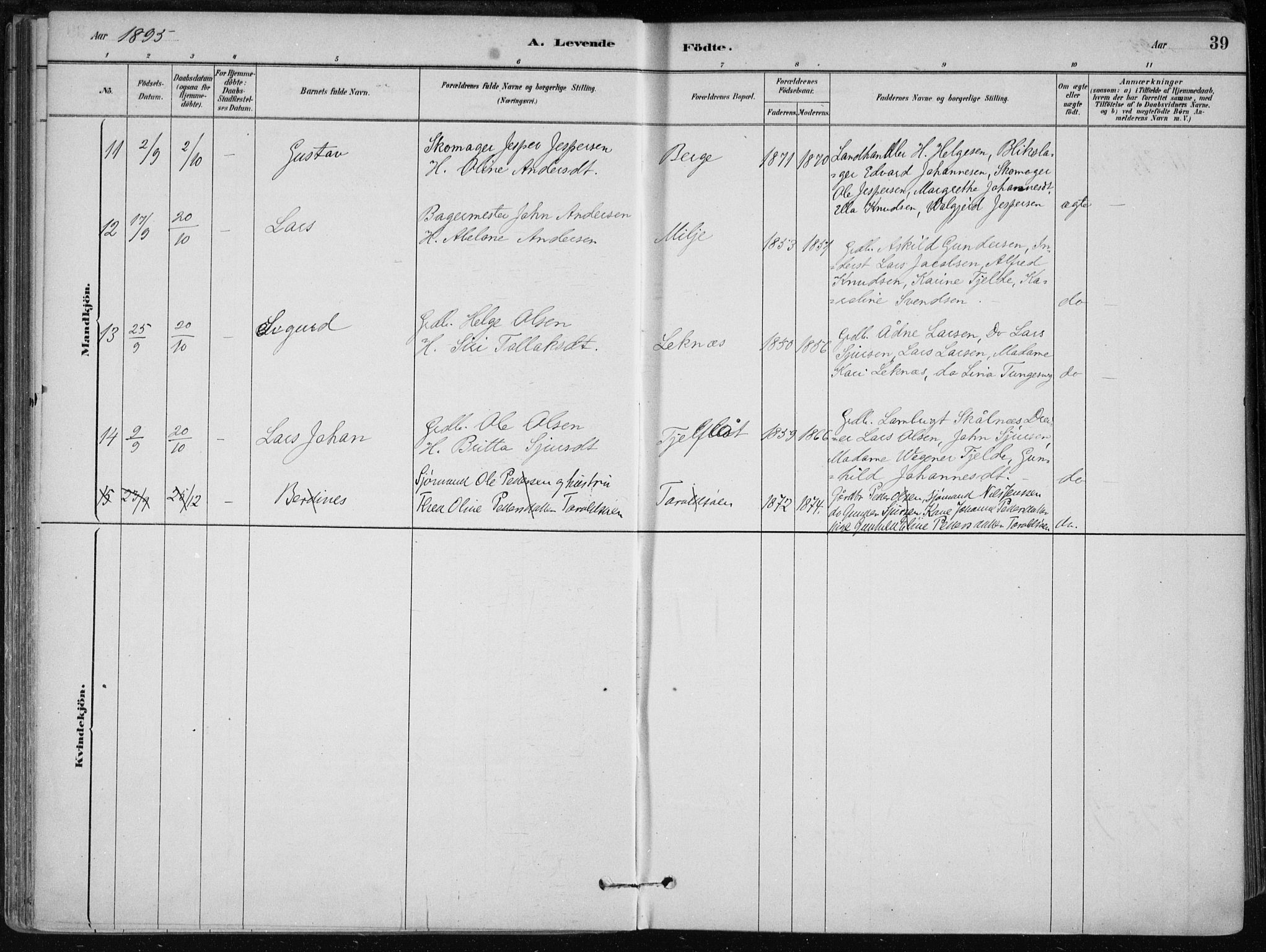 Skånevik sokneprestembete, AV/SAB-A-77801/H/Haa: Parish register (official) no. B 1, 1879-1914, p. 39