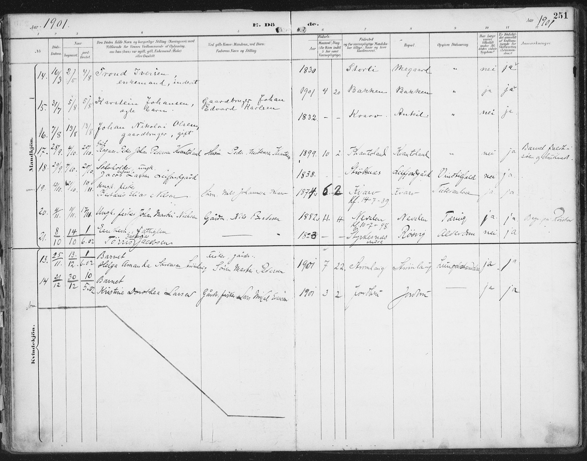 Ministerialprotokoller, klokkerbøker og fødselsregistre - Nordland, SAT/A-1459/854/L0779: Parish register (official) no. 854A02, 1892-1909, p. 251