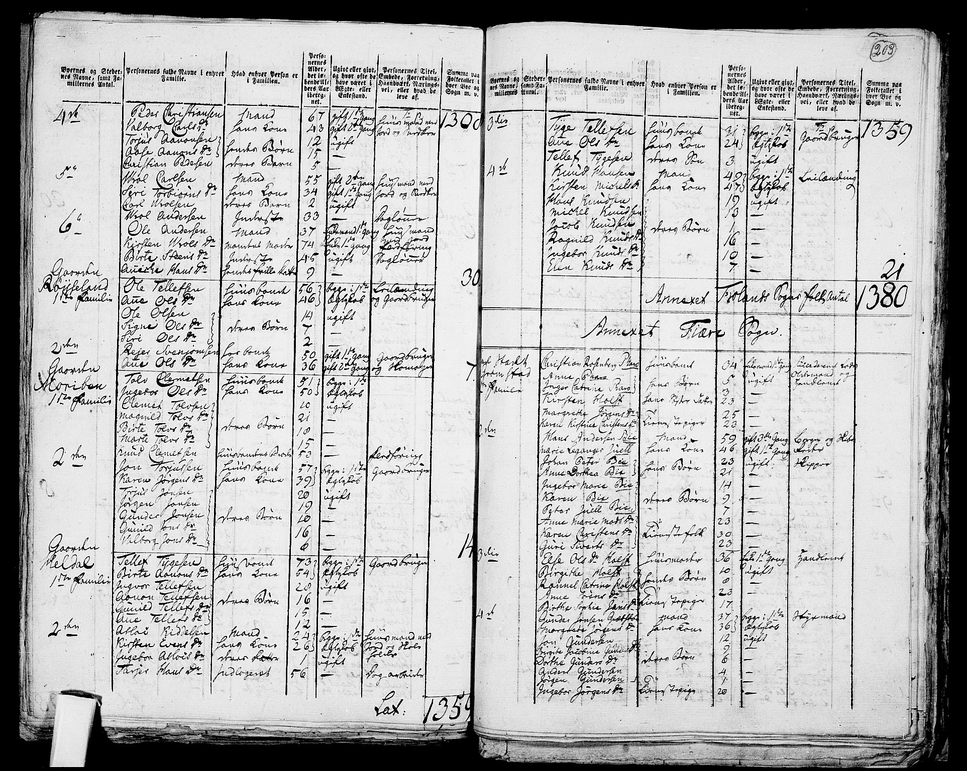 RA, 1801 census for 0920P Øyestad, 1801, p. 202b-203a