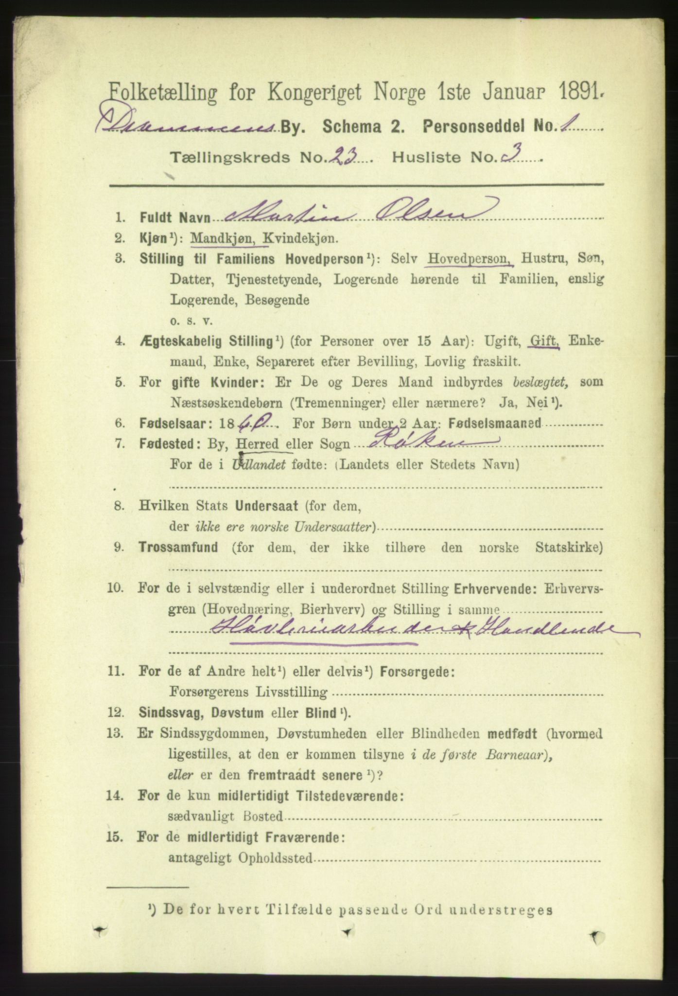 RA, 1891 census for 0602 Drammen, 1891, p. 14073