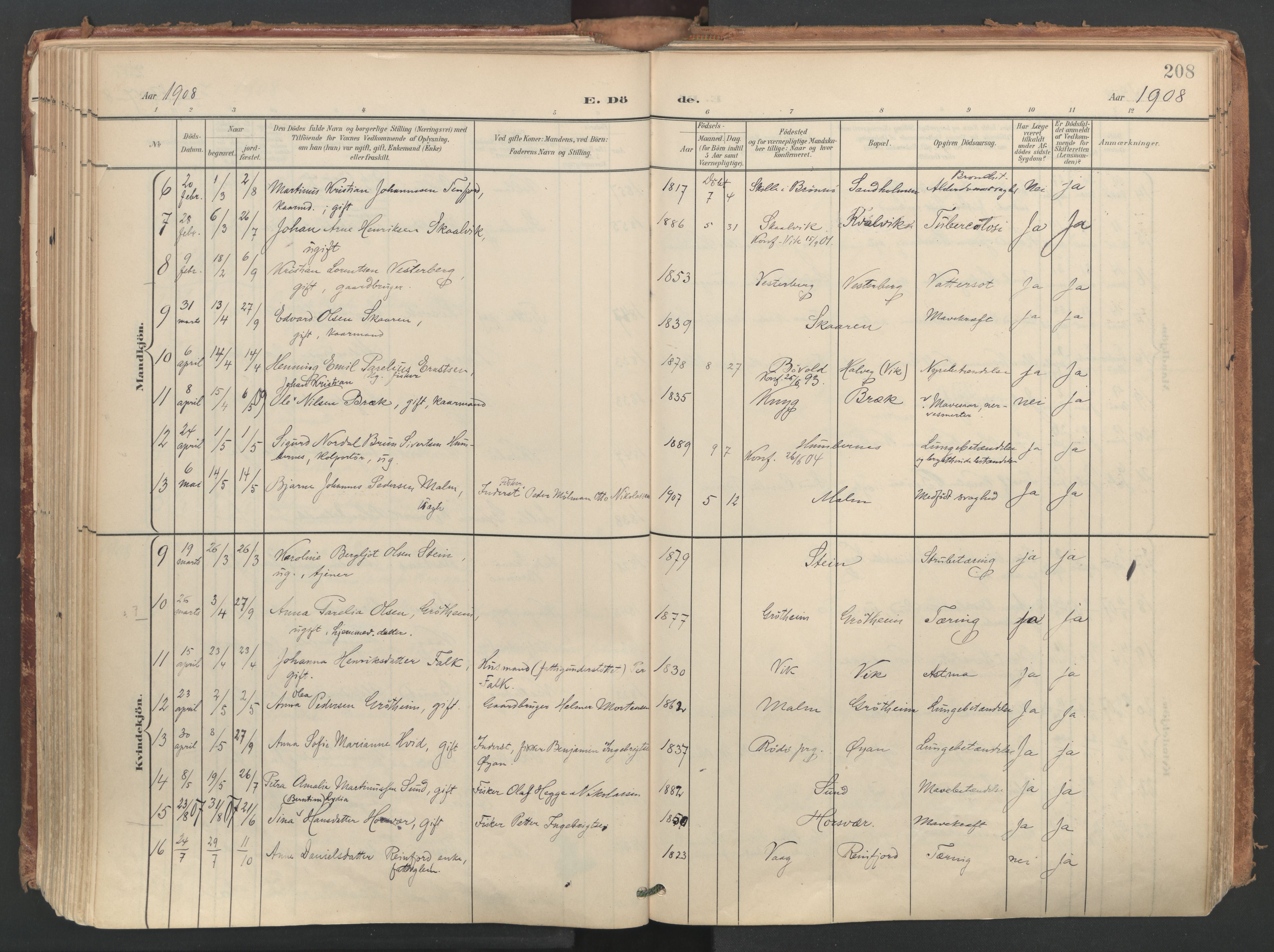 Ministerialprotokoller, klokkerbøker og fødselsregistre - Nordland, SAT/A-1459/812/L0180: Parish register (official) no. 812A09, 1901-1915, p. 208