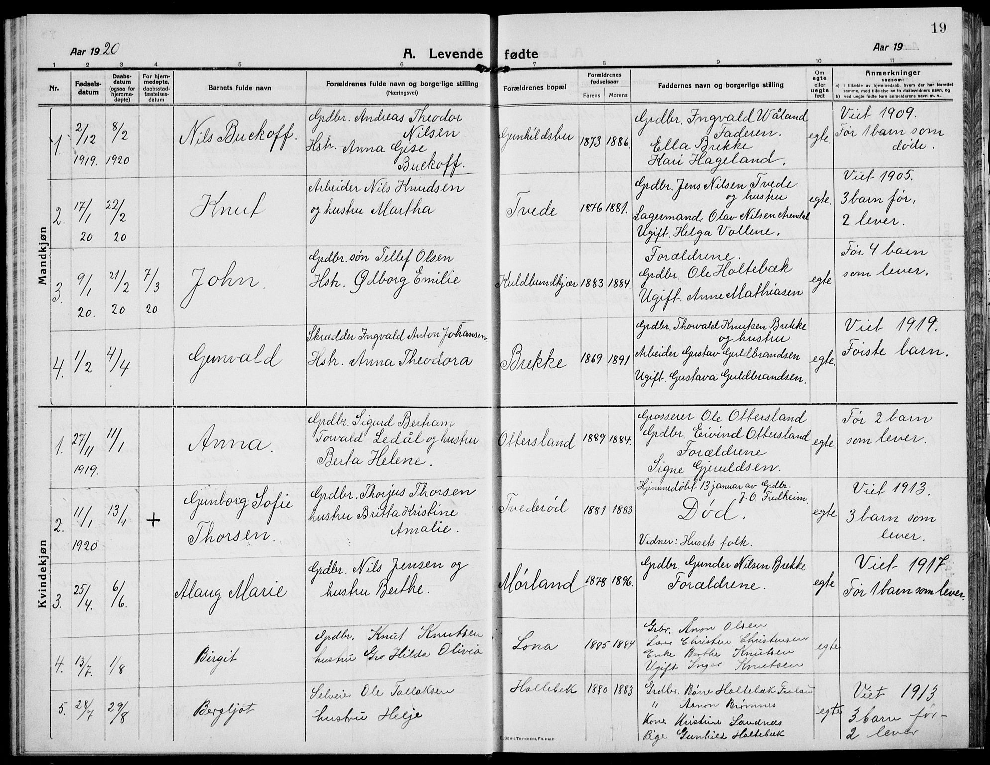 Austre Moland sokneprestkontor, SAK/1111-0001/F/Fb/Fba/L0005: Parish register (copy) no. B 4b, 1914-1935, p. 19