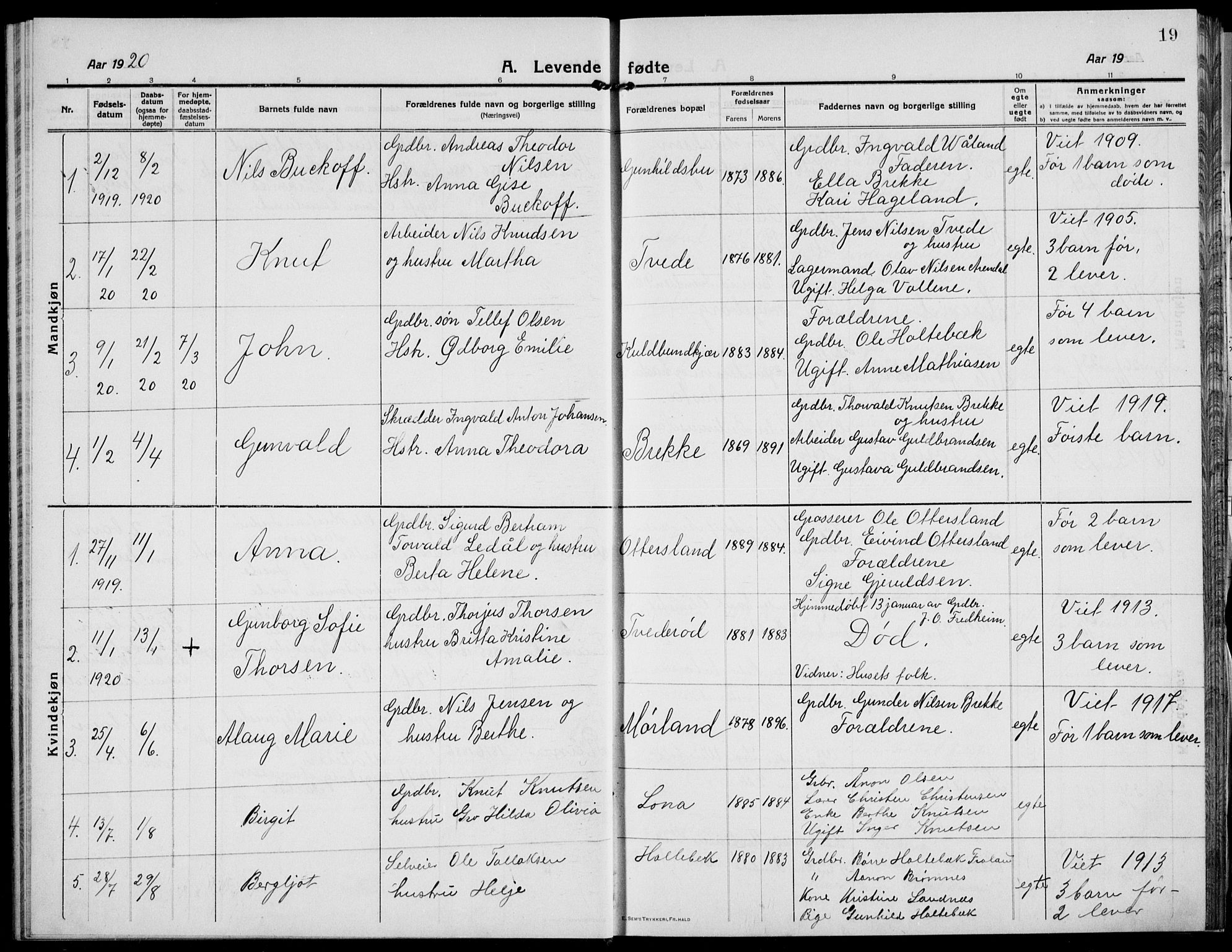 Austre Moland sokneprestkontor, AV/SAK-1111-0001/F/Fb/Fba/L0005: Parish register (copy) no. B 4b, 1914-1935, p. 19