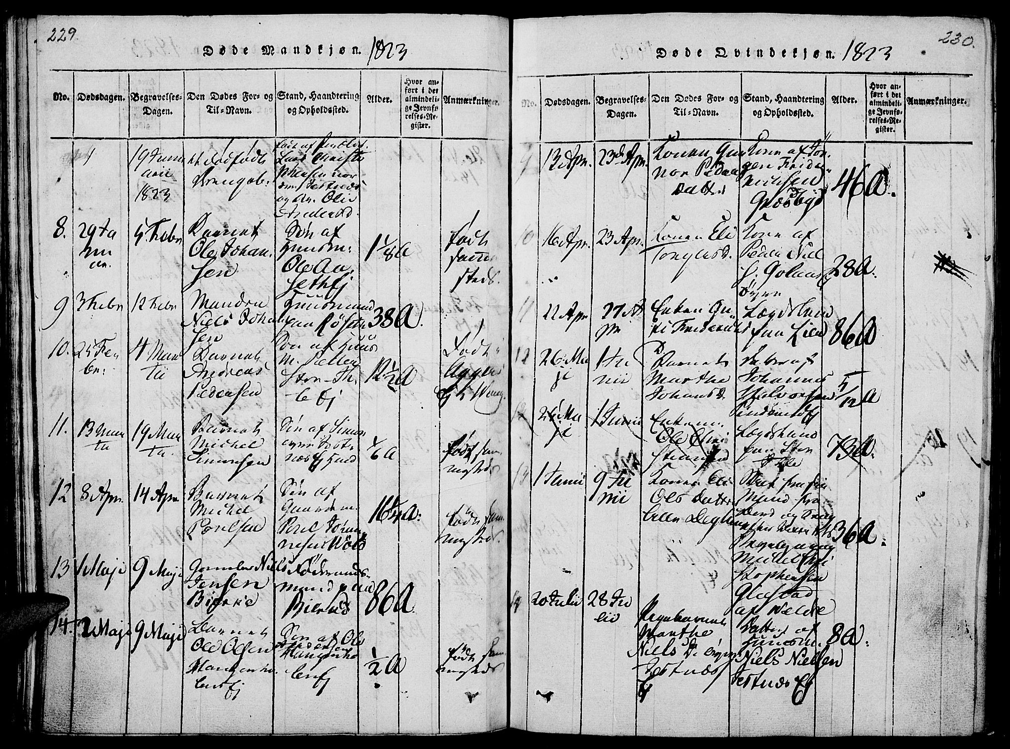 Vang prestekontor, Hedmark, AV/SAH-PREST-008/H/Ha/Haa/L0008: Parish register (official) no. 8, 1815-1826, p. 229-230