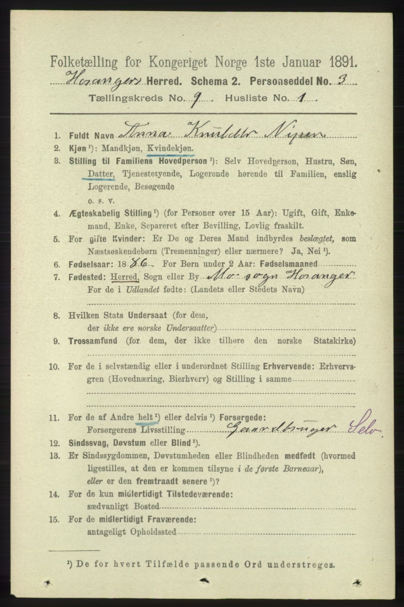 RA, 1891 census for 1253 Hosanger, 1891, p. 3295