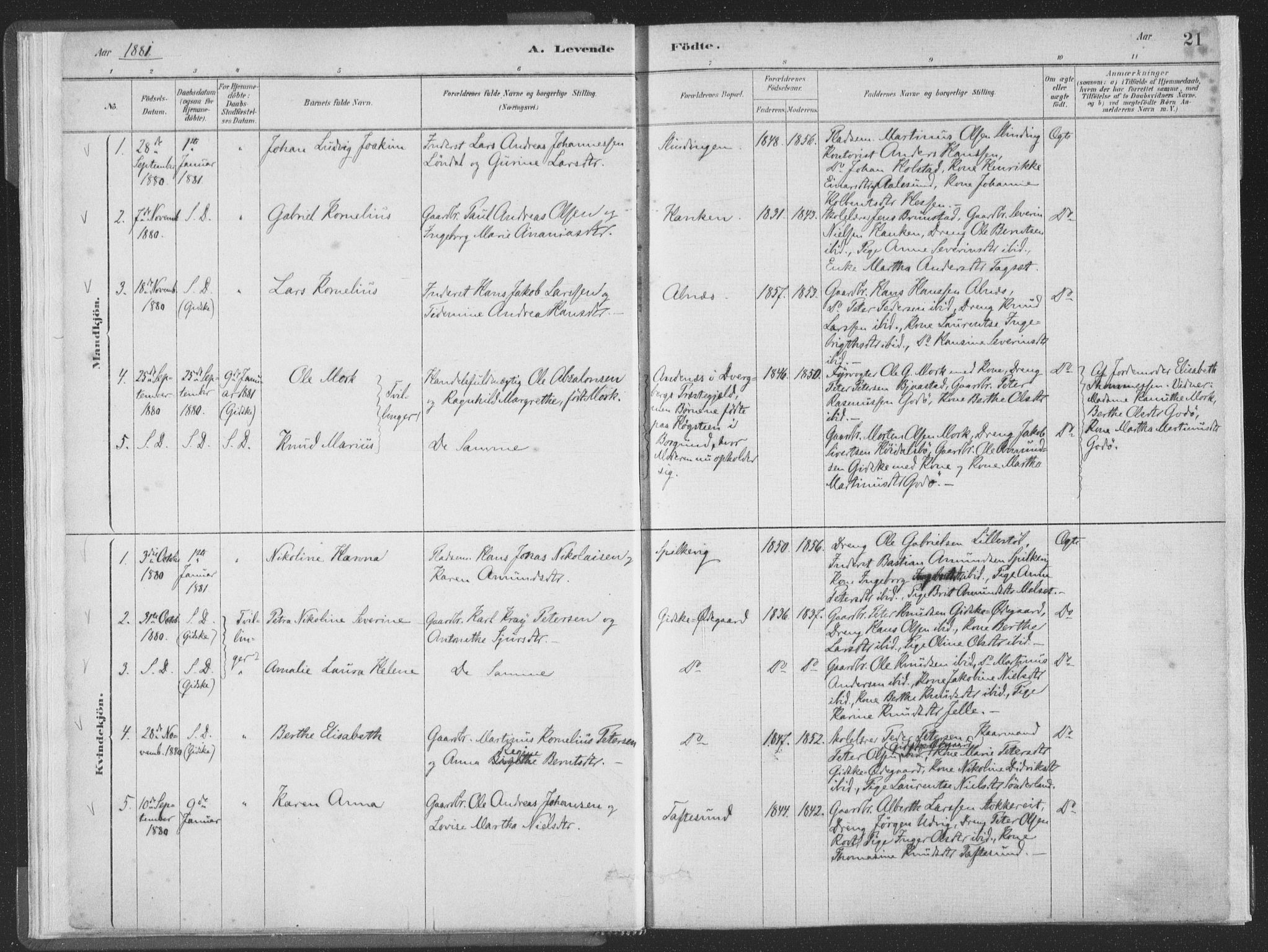 Ministerialprotokoller, klokkerbøker og fødselsregistre - Møre og Romsdal, SAT/A-1454/528/L0401: Parish register (official) no. 528A12I, 1880-1920, p. 21