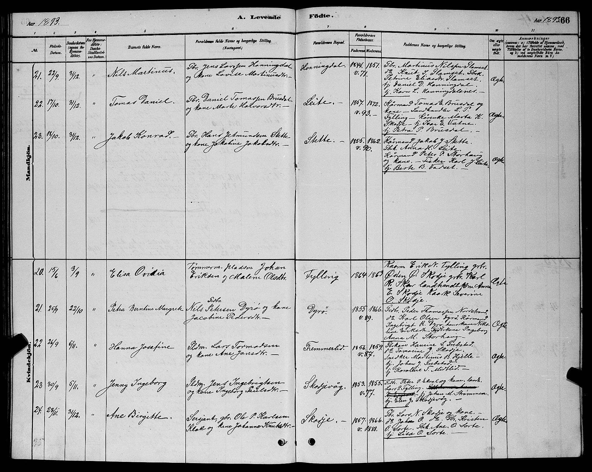 Ministerialprotokoller, klokkerbøker og fødselsregistre - Møre og Romsdal, AV/SAT-A-1454/524/L0365: Parish register (copy) no. 524C06, 1880-1899, p. 66