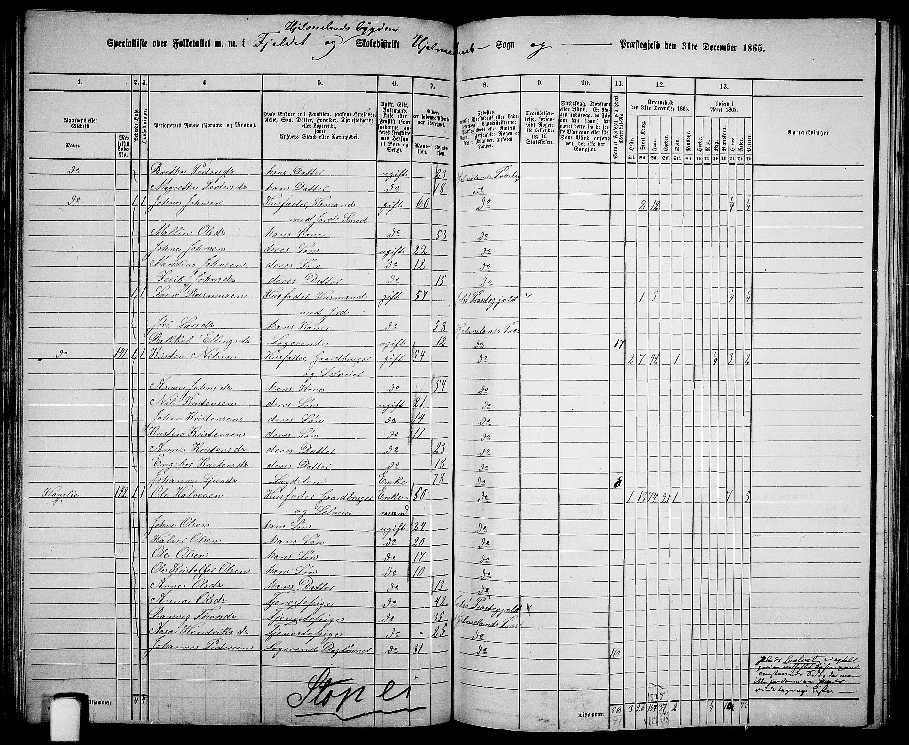 RA, 1865 census for Hjelmeland, 1865, p. 85