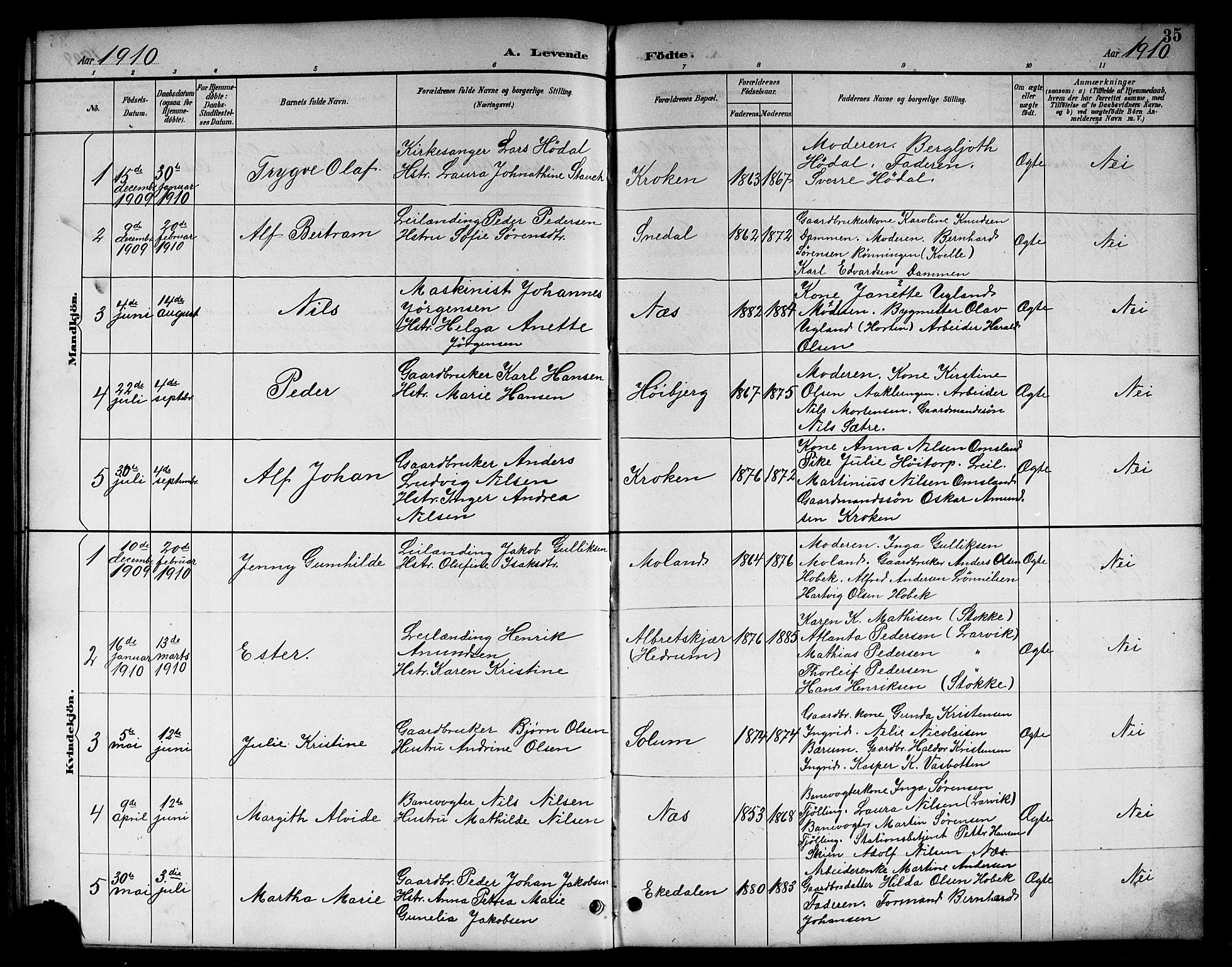 Brunlanes kirkebøker, SAKO/A-342/G/Gc/L0002: Parish register (copy) no. III 2, 1891-1922, p. 35
