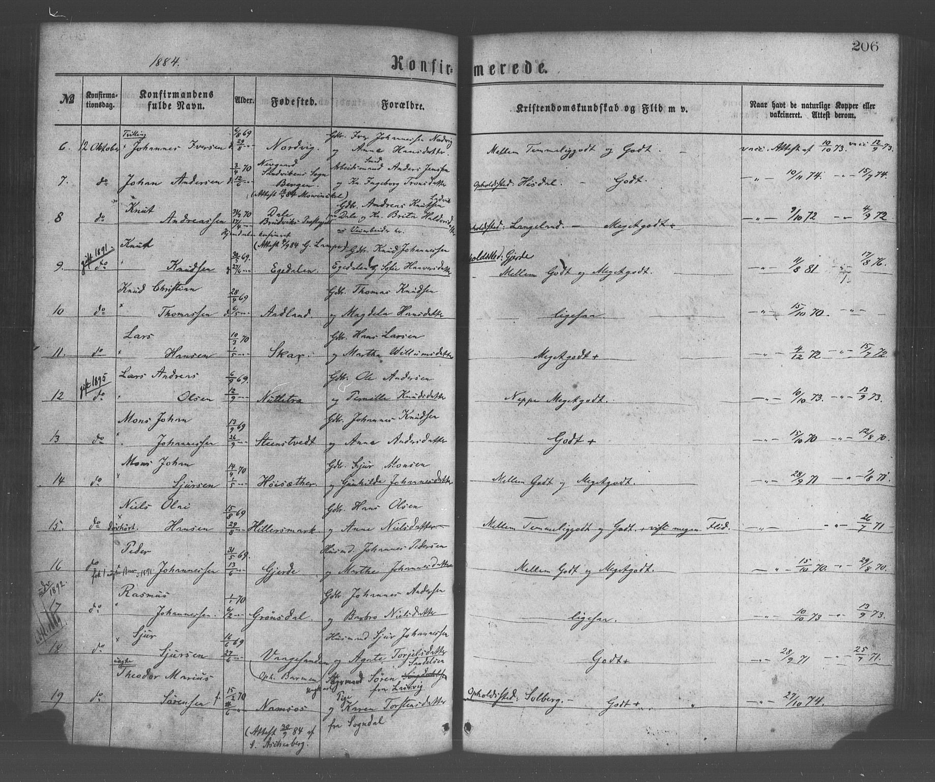 Os sokneprestembete, AV/SAB-A-99929: Parish register (official) no. A 18, 1874-1884, p. 206