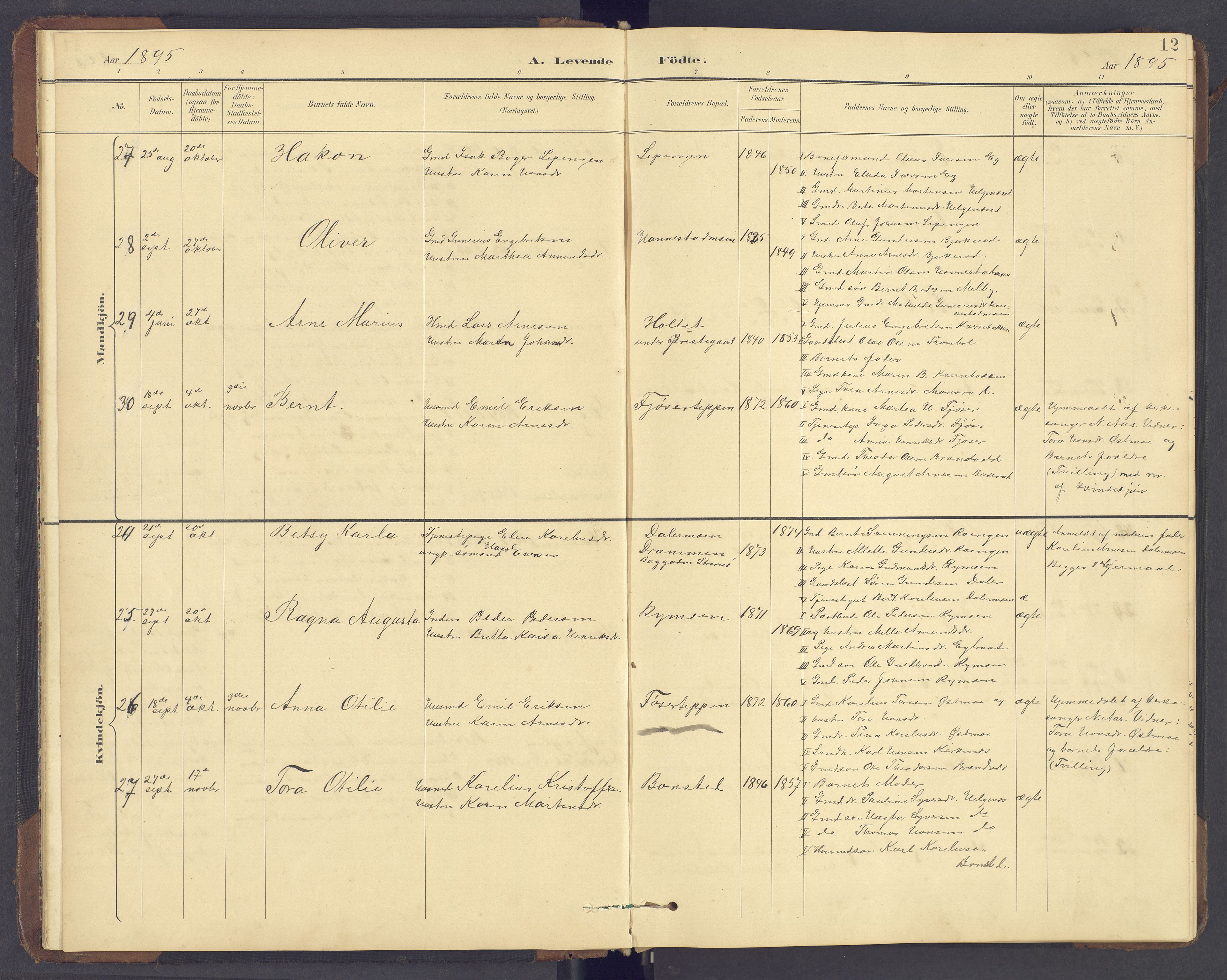 Brandval prestekontor, SAH/PREST-034/H/Ha/Hab/L0002: Parish register (copy) no. 2, 1895-1904, p. 12