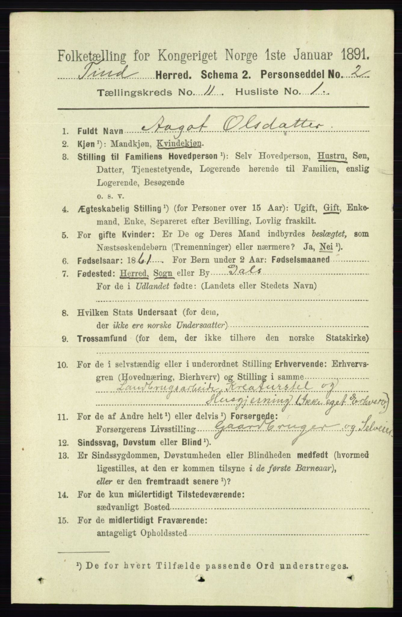 RA, 1891 census for 0826 Tinn, 1891, p. 2121