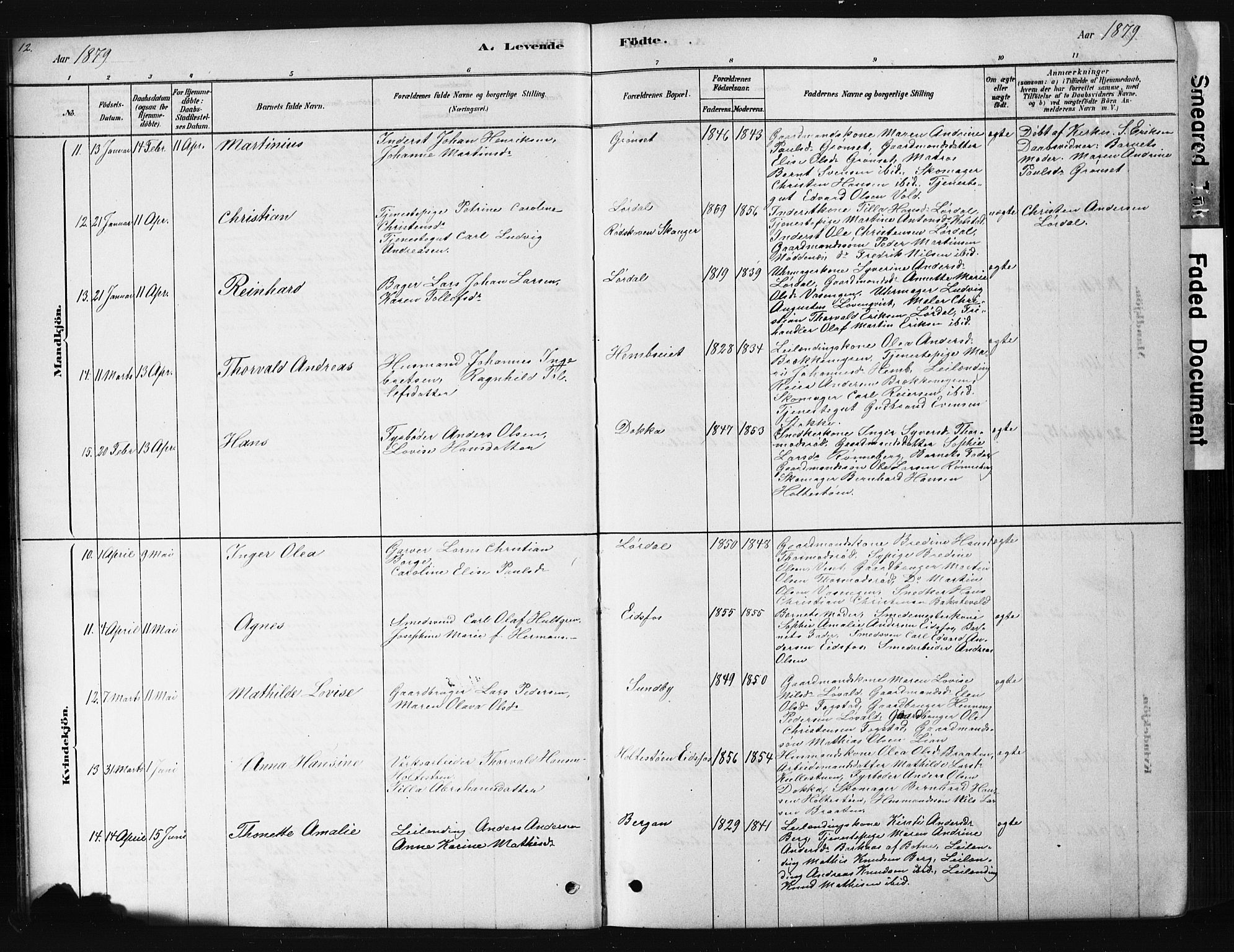 Hof kirkebøker, AV/SAKO-A-64/G/Ga/L0004: Parish register (copy) no. I 4, 1878-1930, p. 12