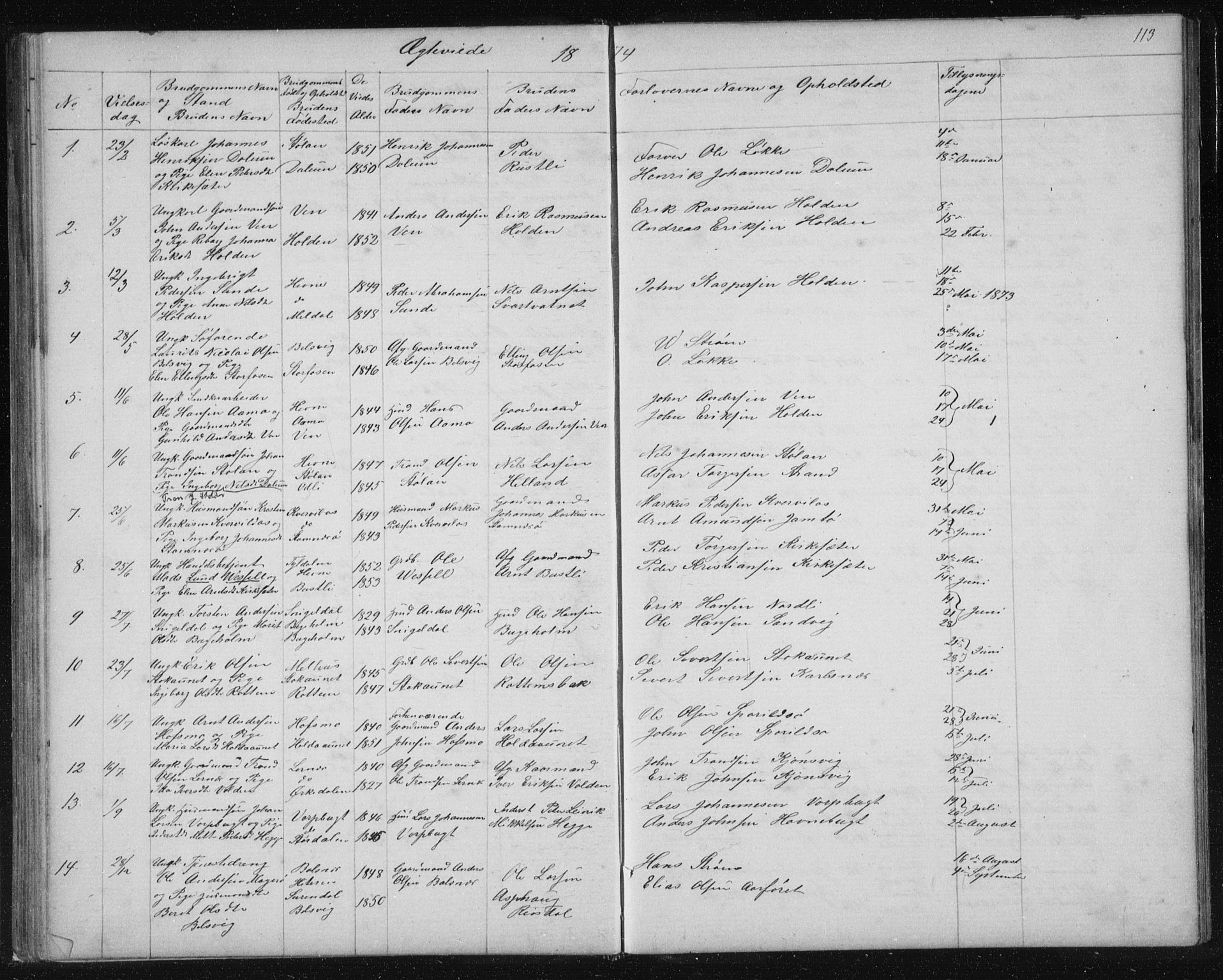 Ministerialprotokoller, klokkerbøker og fødselsregistre - Sør-Trøndelag, AV/SAT-A-1456/630/L0503: Parish register (copy) no. 630C01, 1869-1878, p. 113