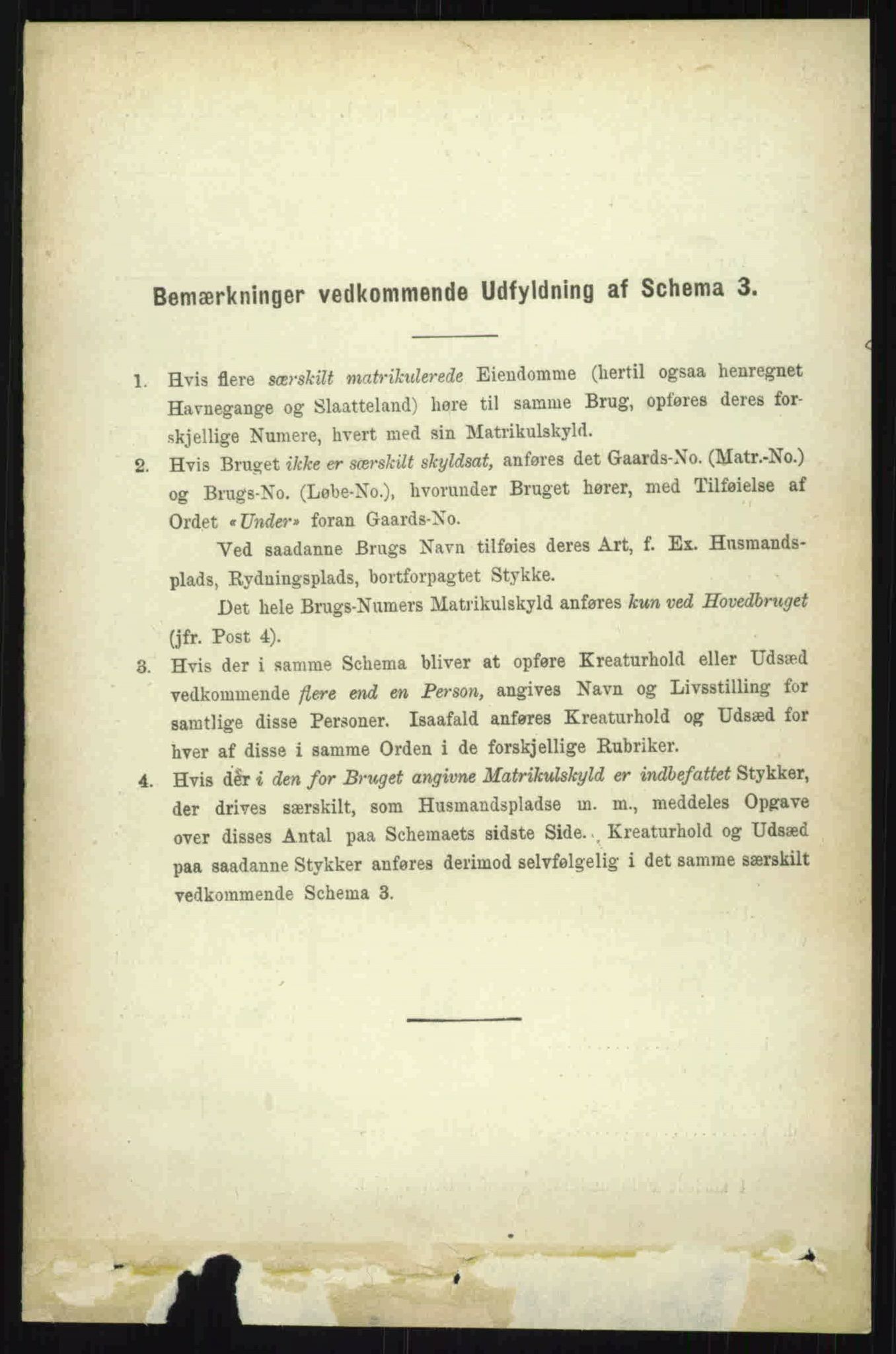 RA, 1891 census for 0134 Onsøy, 1891, p. 3950