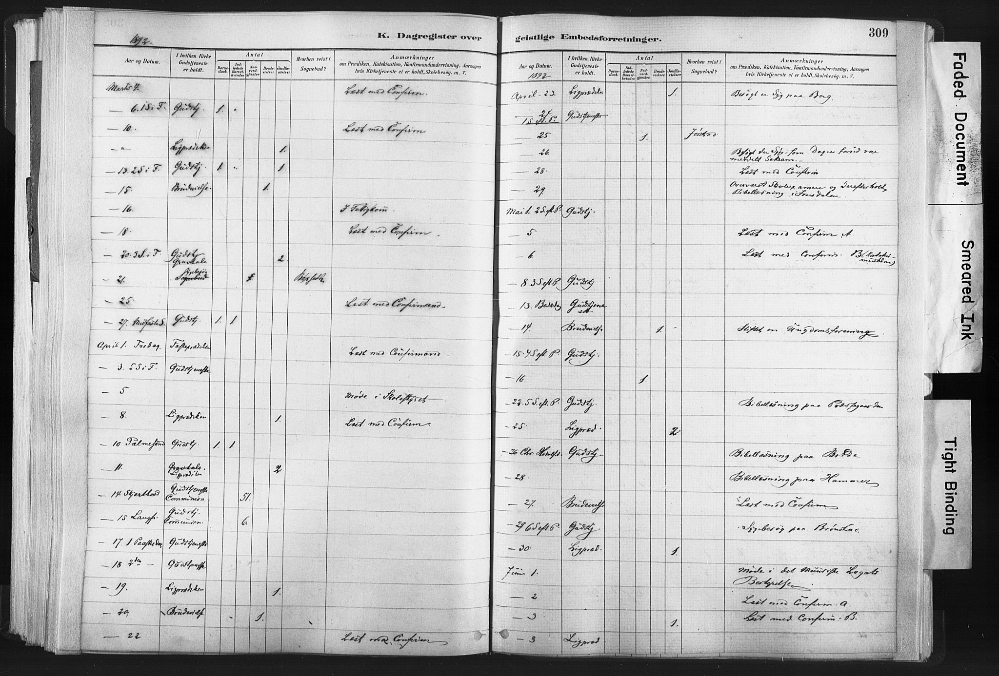 Ministerialprotokoller, klokkerbøker og fødselsregistre - Nord-Trøndelag, AV/SAT-A-1458/749/L0474: Parish register (official) no. 749A08, 1887-1903, p. 309