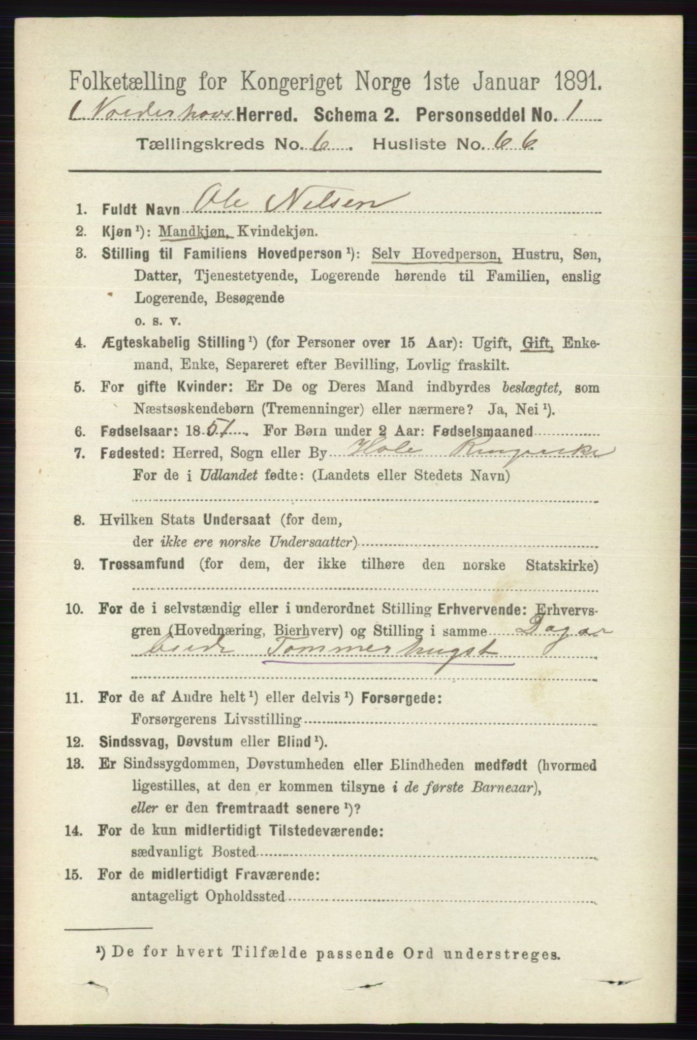 RA, 1891 census for 0613 Norderhov, 1891, p. 4376