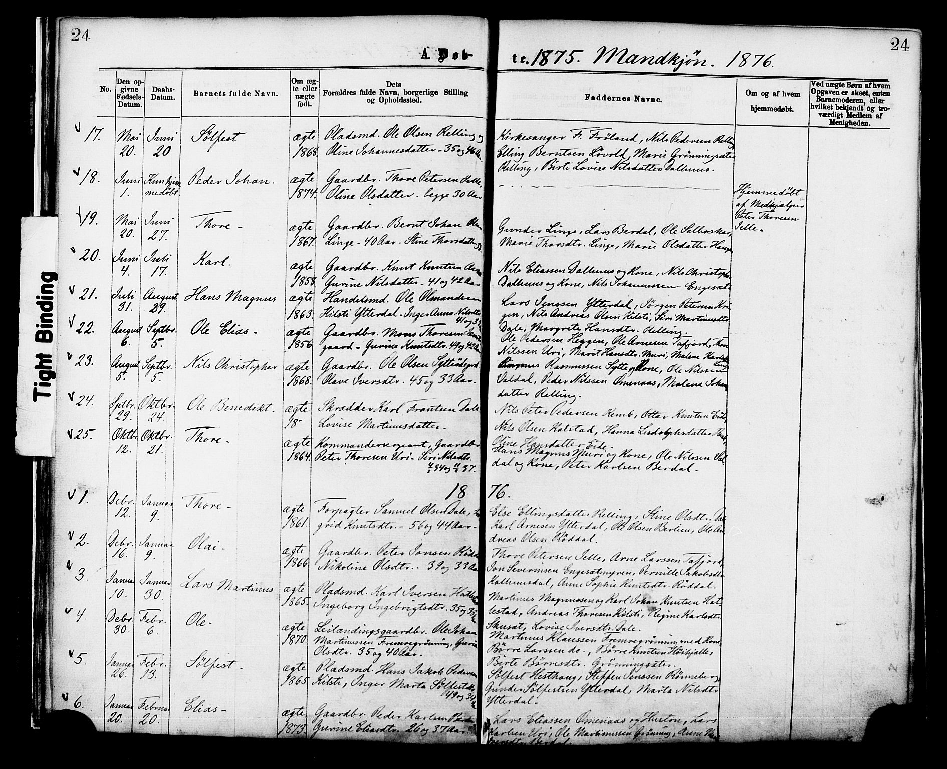 Ministerialprotokoller, klokkerbøker og fødselsregistre - Møre og Romsdal, SAT/A-1454/519/L0254: Parish register (official) no. 519A13, 1868-1883, p. 24