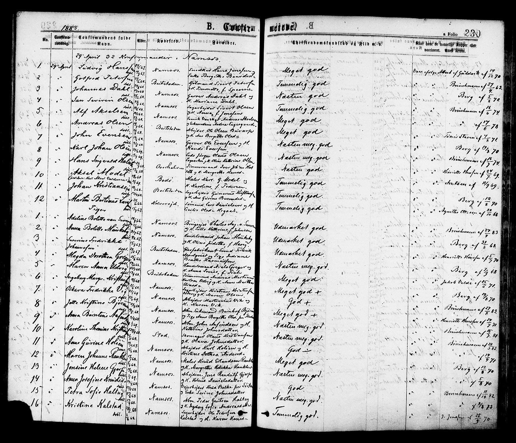 Ministerialprotokoller, klokkerbøker og fødselsregistre - Nord-Trøndelag, SAT/A-1458/768/L0572: Parish register (official) no. 768A07, 1874-1886, p. 230