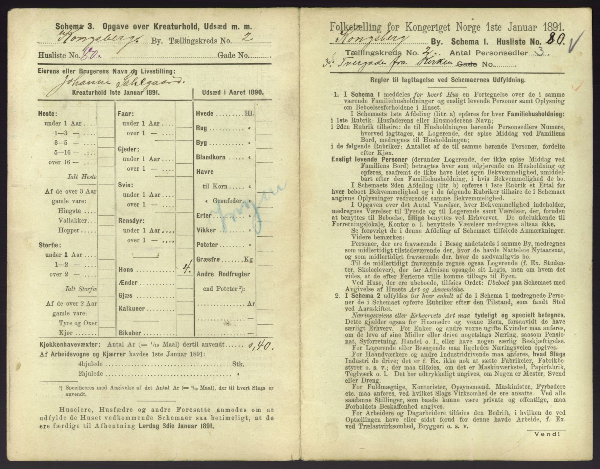 RA, 1891 census for 0604 Kongsberg, 1891, p. 351