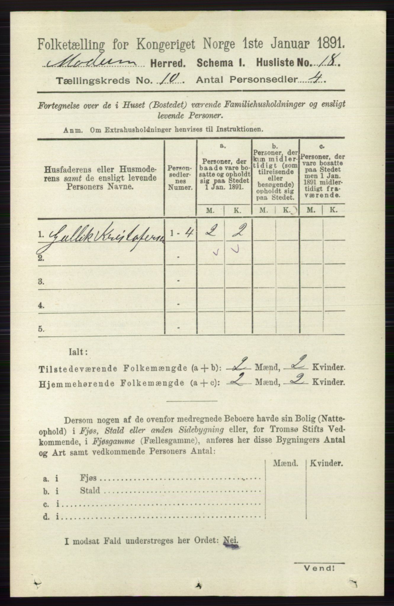 RA, 1891 census for 0623 Modum, 1891, p. 3966