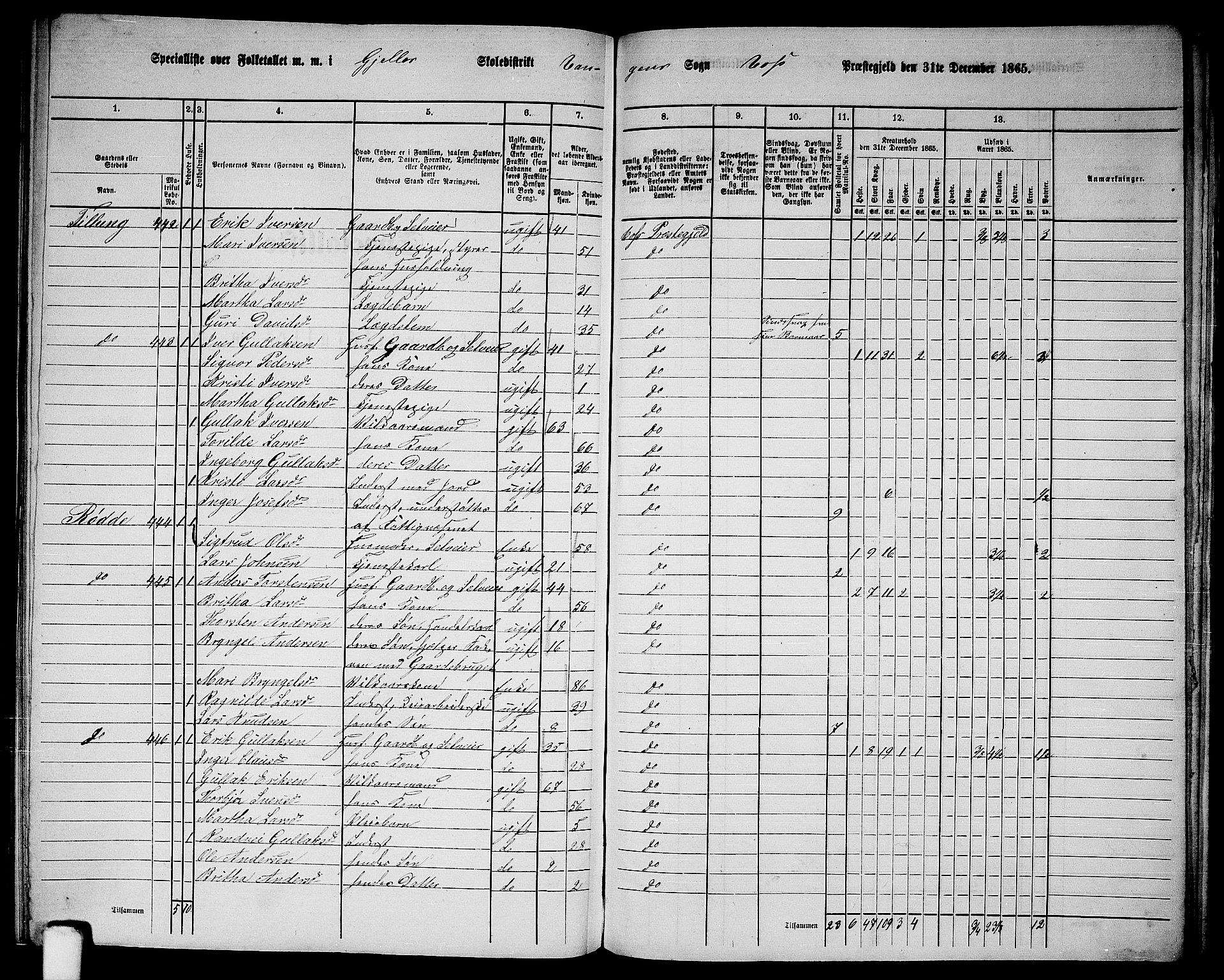 RA, 1865 census for Voss, 1865, p. 196