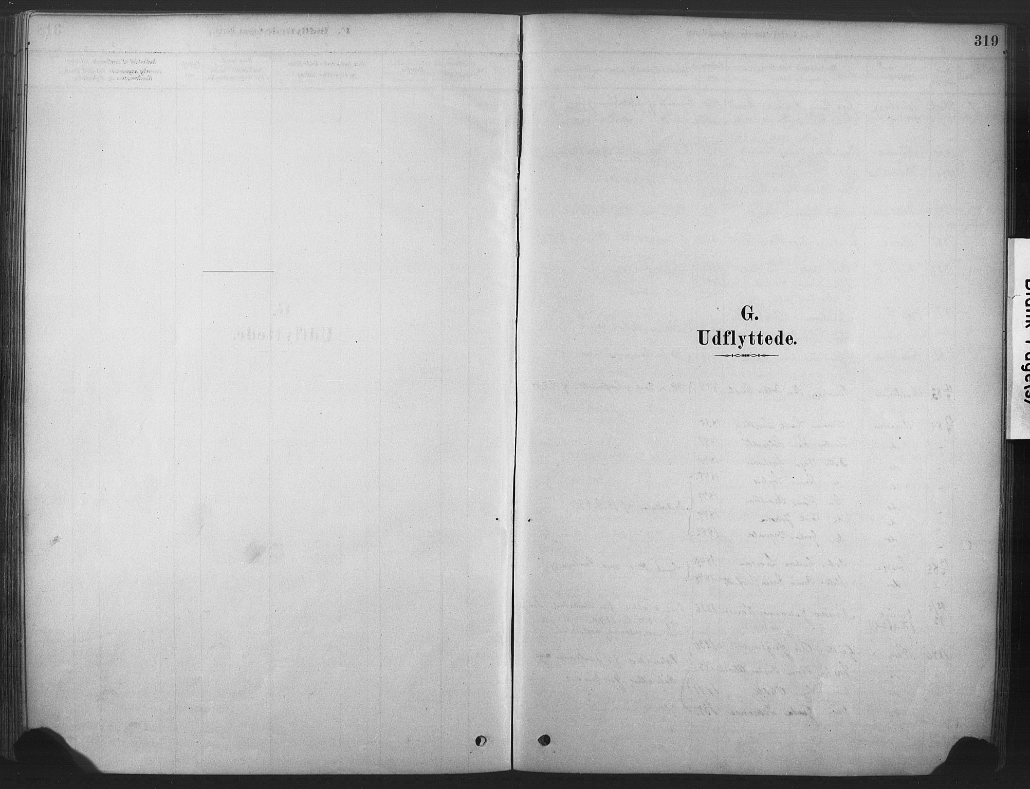 Våle kirkebøker, AV/SAKO-A-334/F/Fa/L0011: Parish register (official) no. I 11, 1878-1906, p. 319