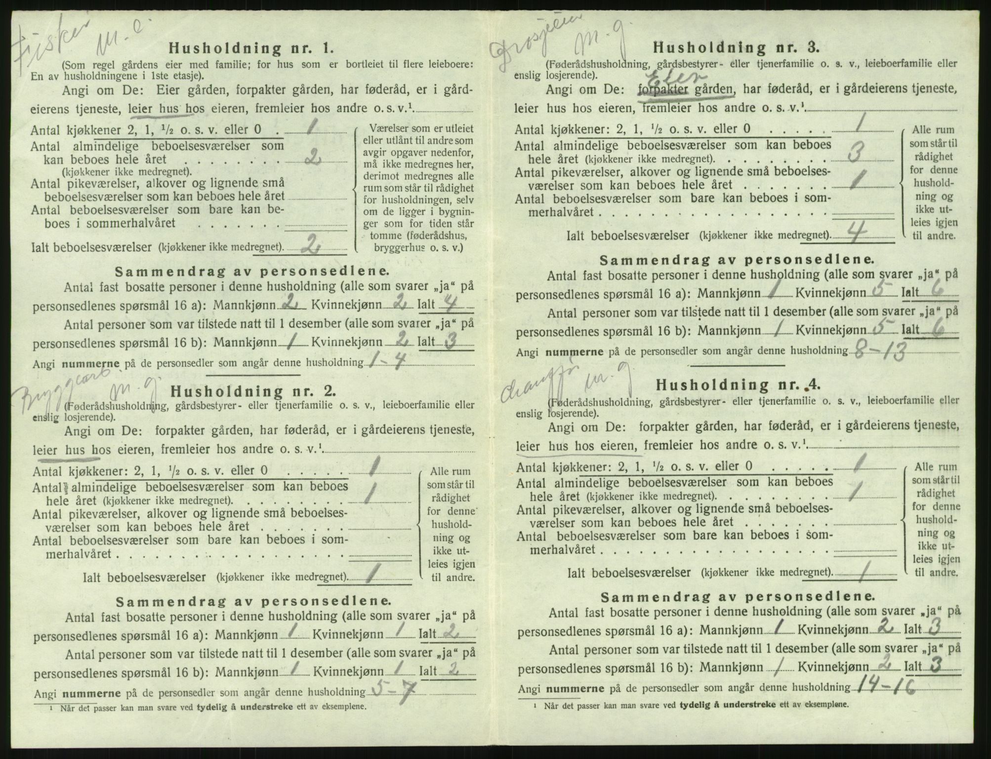 SAT, 1920 census for Borgund, 1920, p. 1041