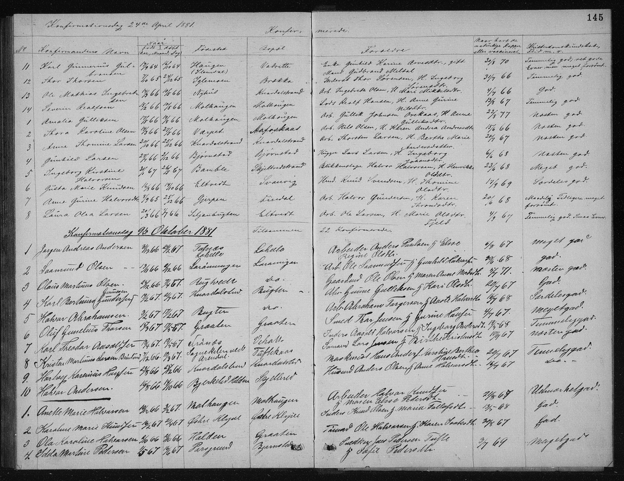 Solum kirkebøker, SAKO/A-306/G/Ga/L0005: Parish register (copy) no. I 5, 1877-1881, p. 145