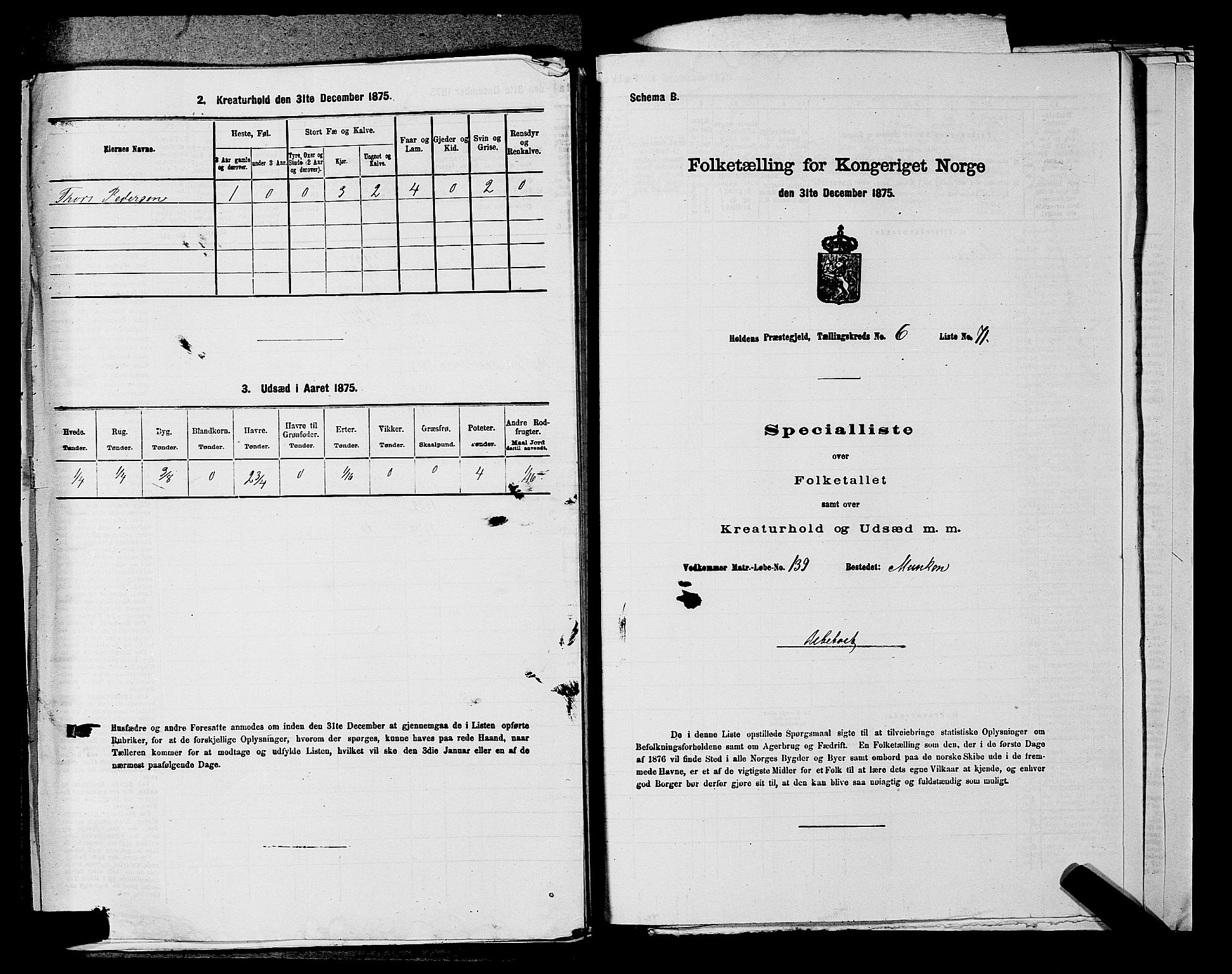 SAKO, 1875 census for 0819P Holla, 1875, p. 847