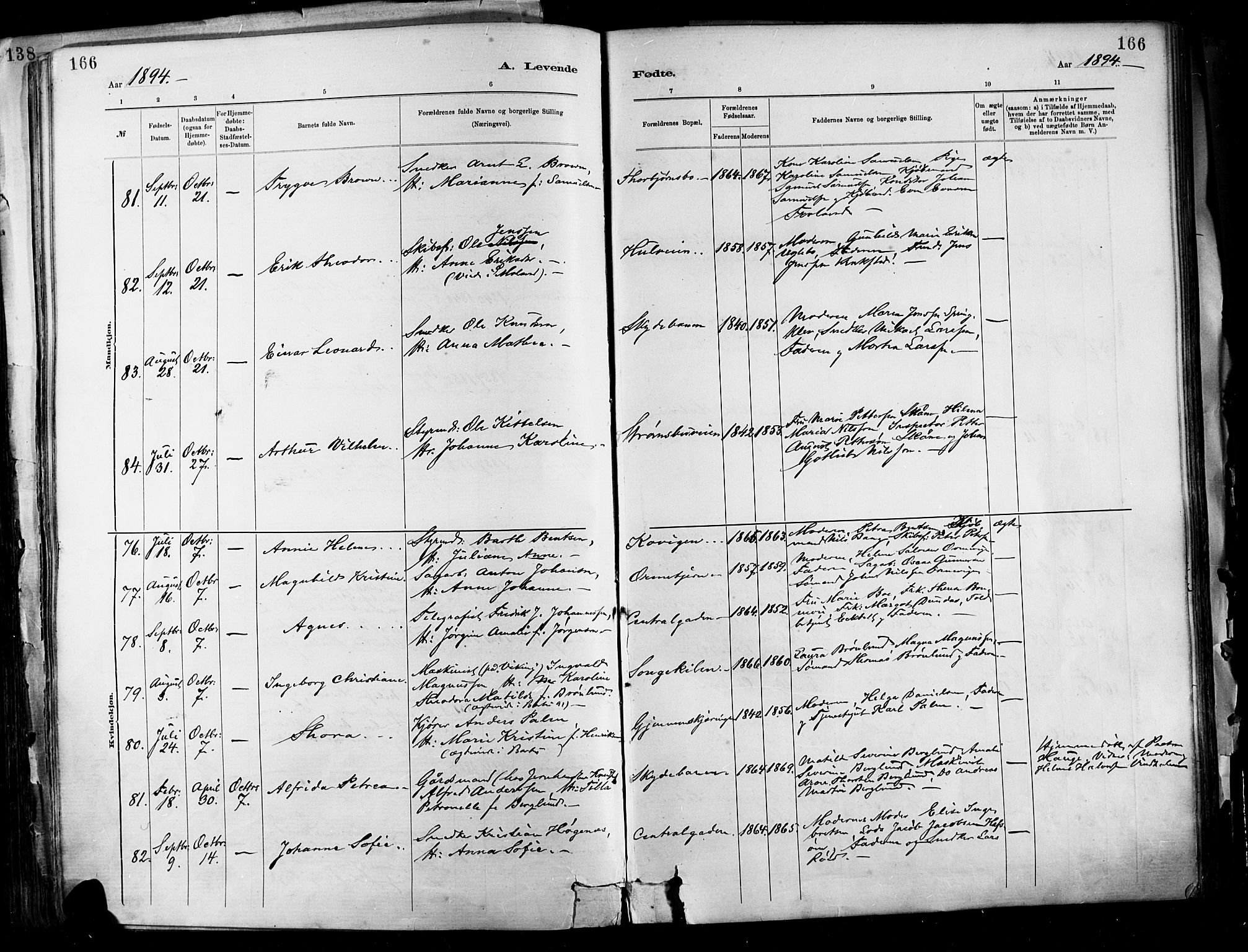 Barbu sokneprestkontor, SAK/1111-0003/F/Fa/L0002: Parish register (official) no. A 2, 1883-1898, p. 166