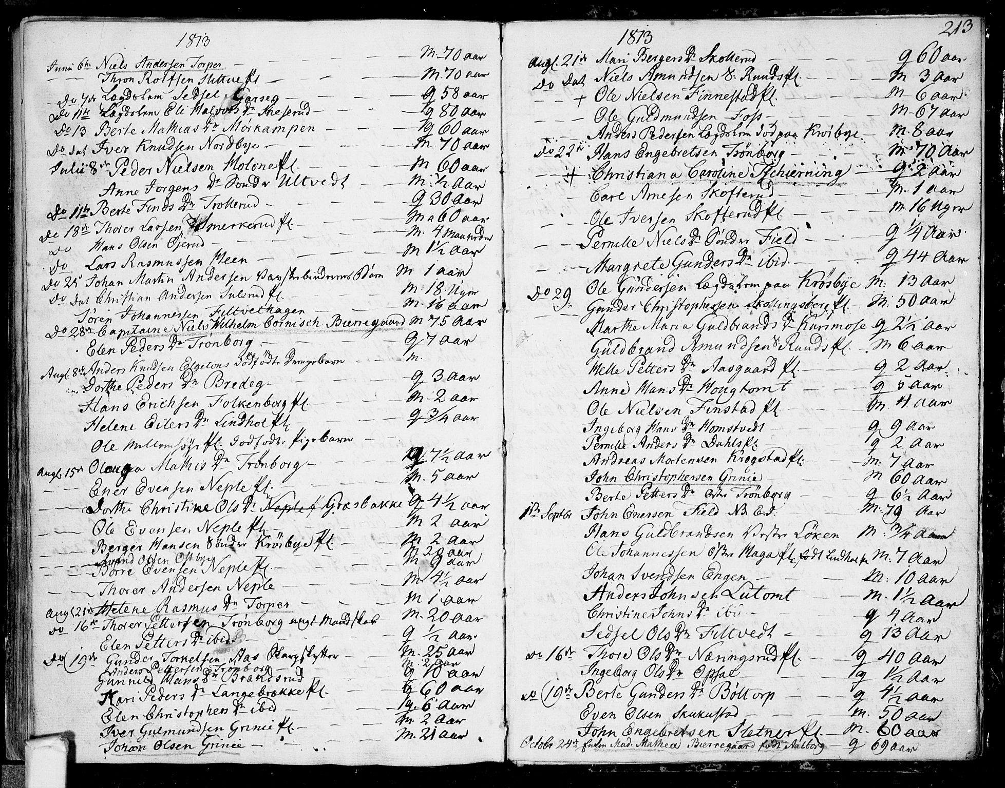Eidsberg prestekontor Kirkebøker, AV/SAO-A-10905/F/Fa/L0006: Parish register (official) no. I 6, 1807-1814, p. 213