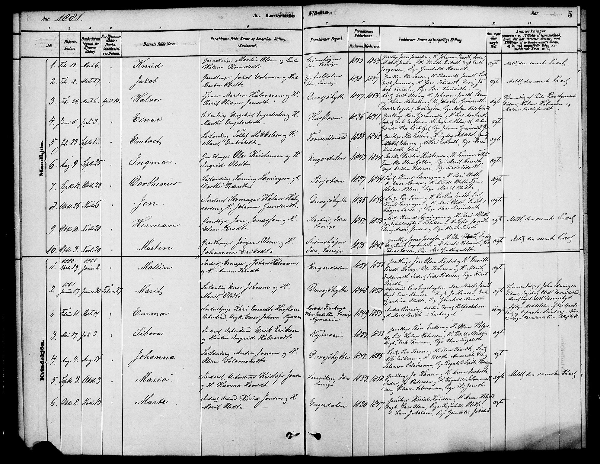 Rendalen prestekontor, SAH/PREST-054/H/Ha/Haa/L0007: Parish register (official) no. 7, 1878-1898, p. 5