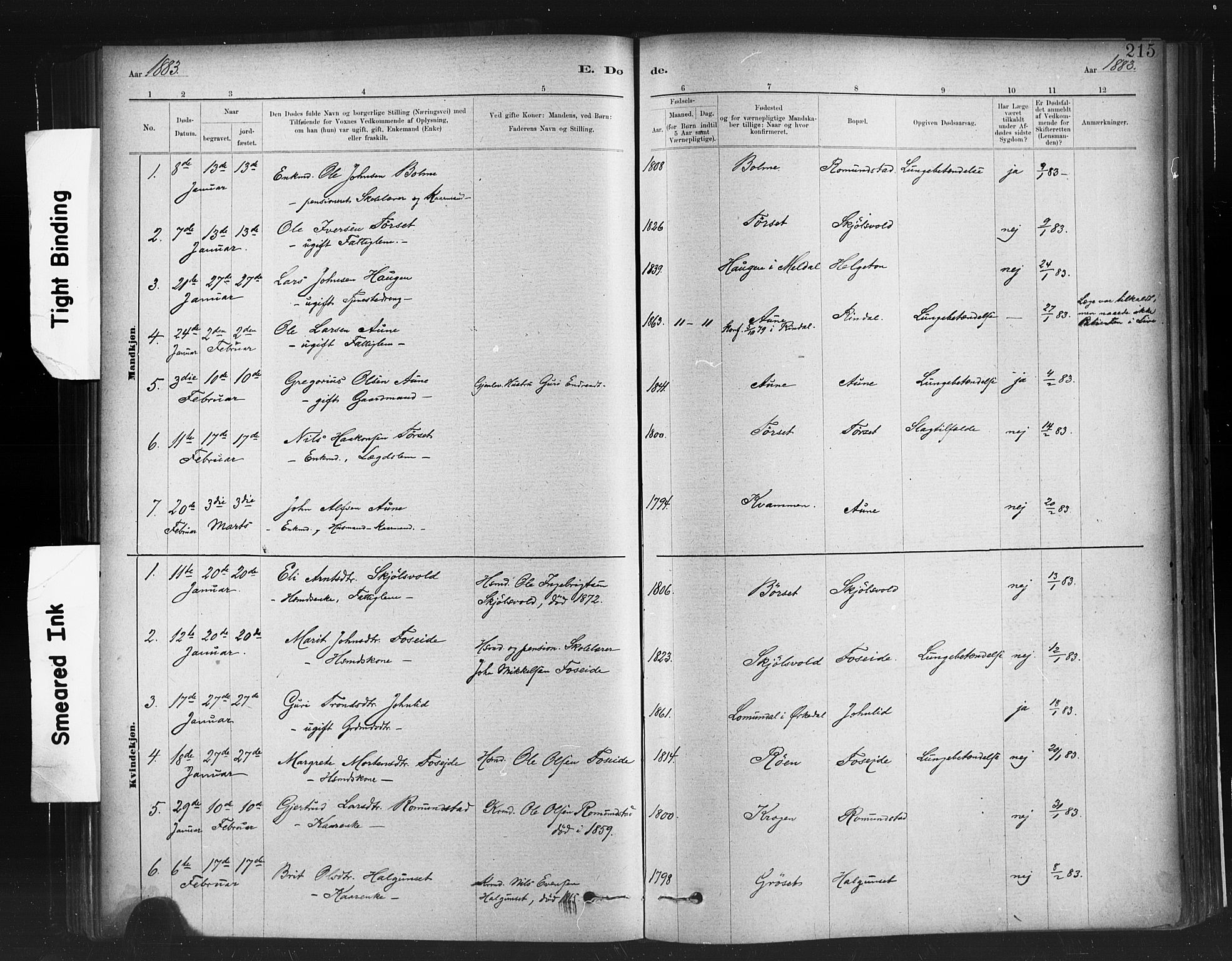 Ministerialprotokoller, klokkerbøker og fødselsregistre - Møre og Romsdal, AV/SAT-A-1454/598/L1069: Parish register (official) no. 598A03, 1882-1895, p. 215