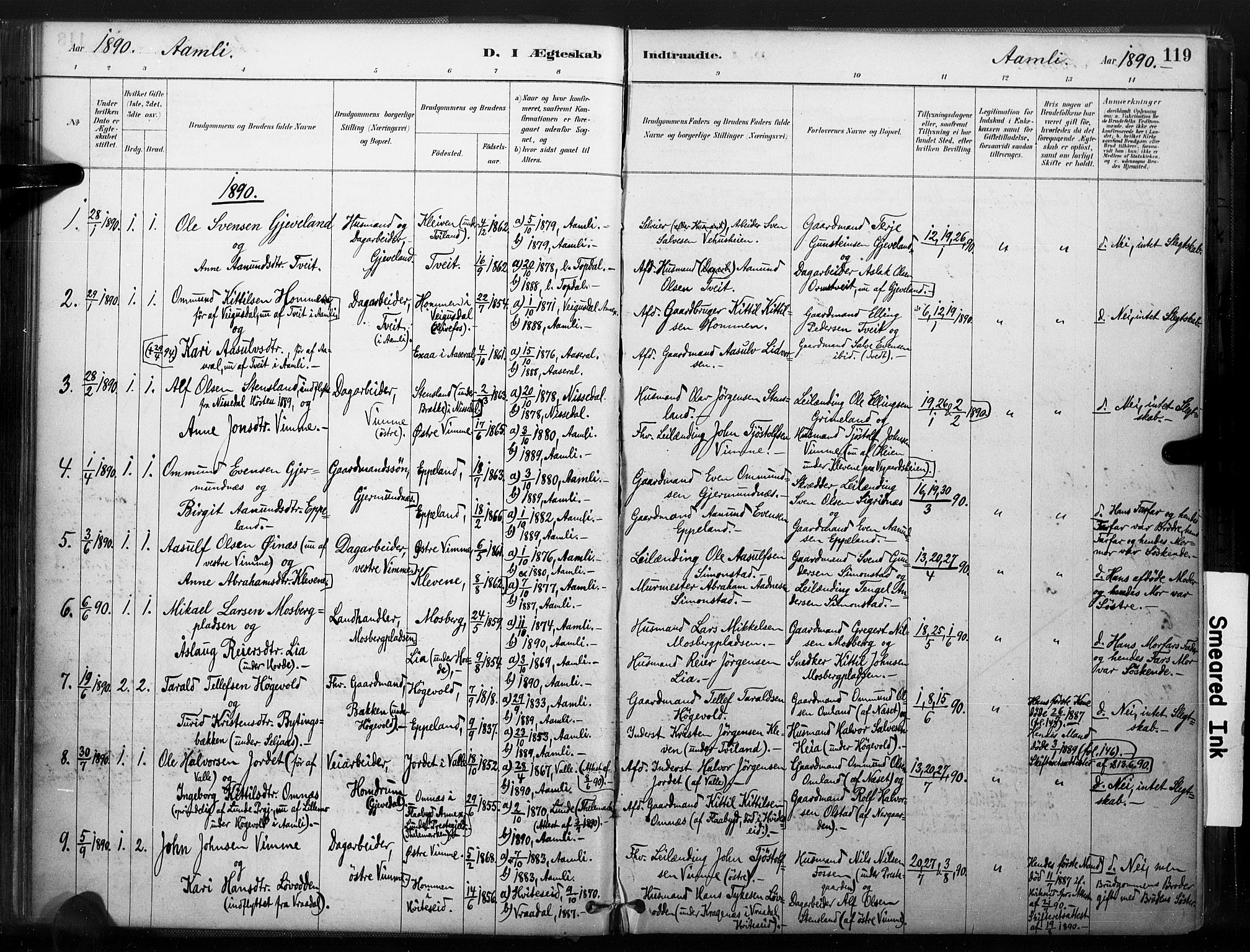Åmli sokneprestkontor, SAK/1111-0050/F/Fa/Fac/L0010: Parish register (official) no. A 10 /1, 1885-1899, p. 119