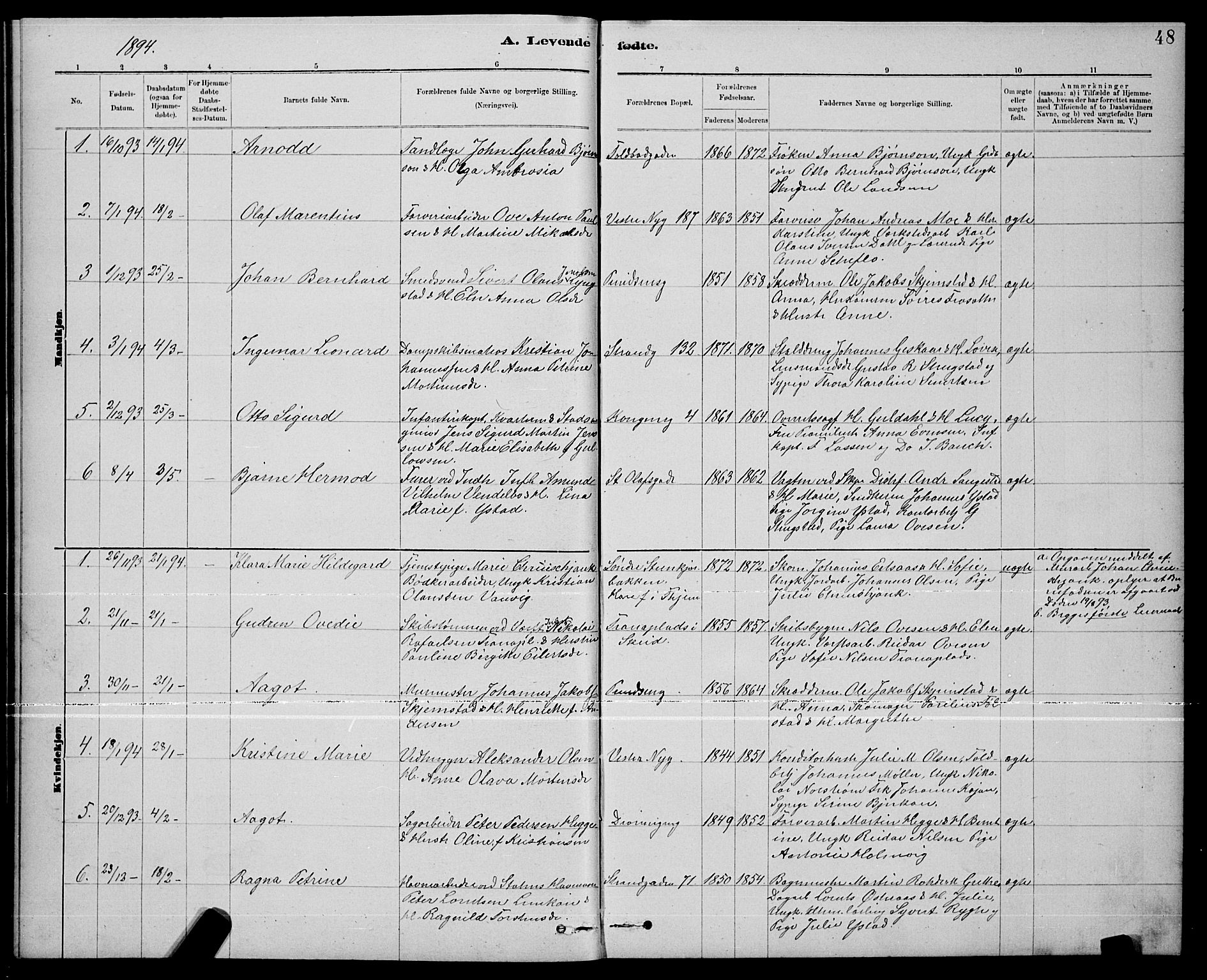 Ministerialprotokoller, klokkerbøker og fødselsregistre - Nord-Trøndelag, SAT/A-1458/739/L0374: Parish register (copy) no. 739C02, 1883-1898, p. 48