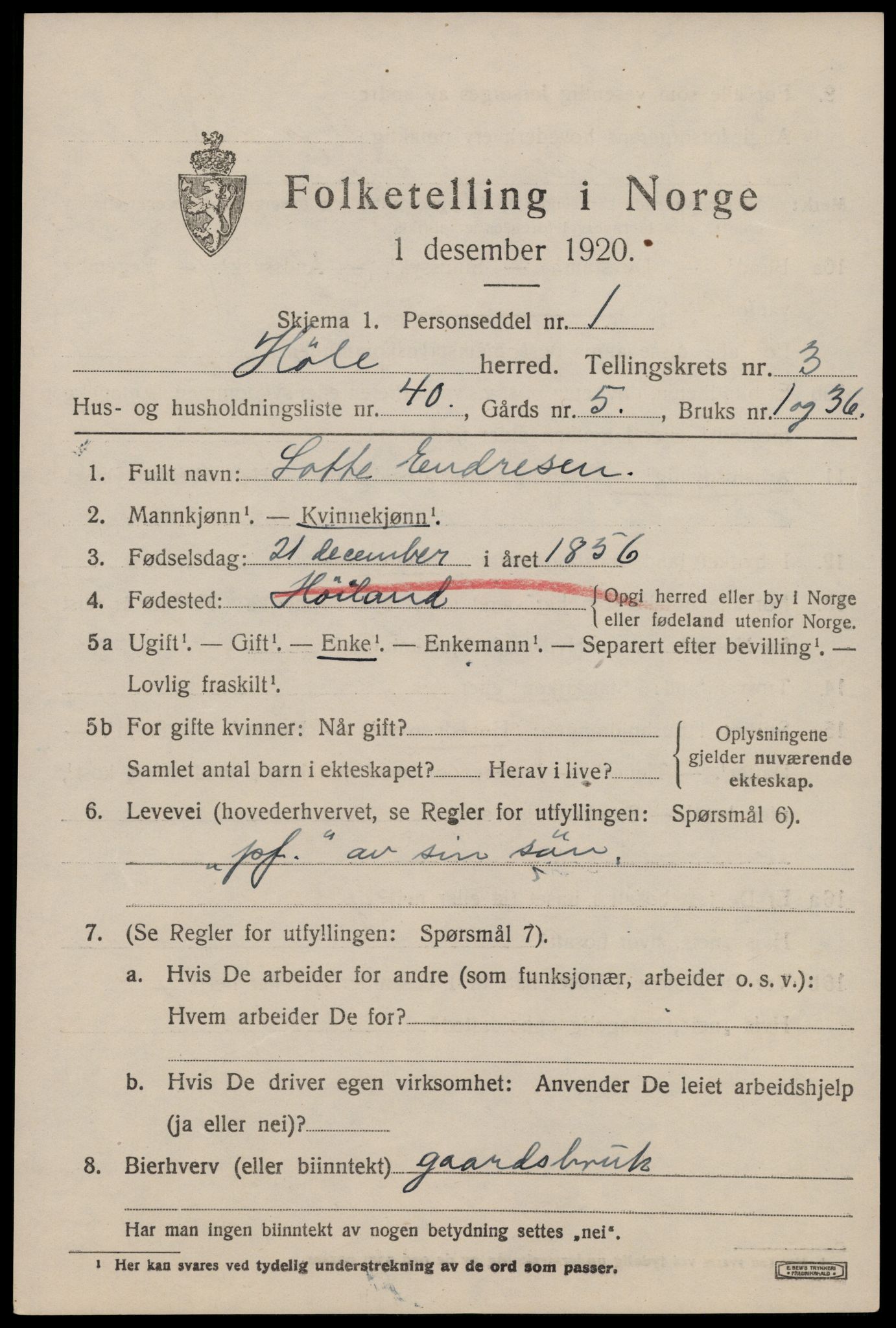 SAST, 1920 census for Høle, 1920, p. 1359