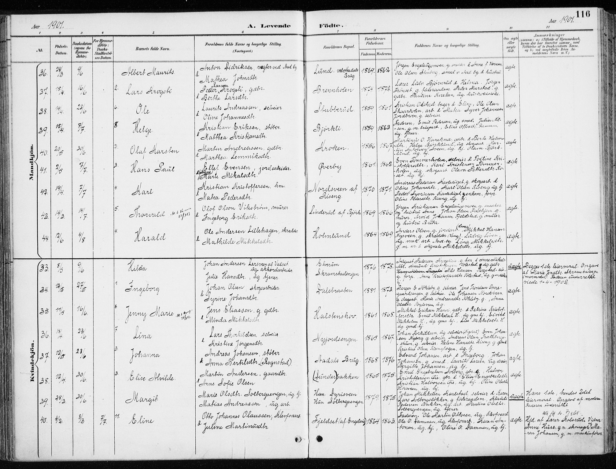 Løten prestekontor, AV/SAH-PREST-022/K/Ka/L0010: Parish register (official) no. 10, 1892-1907, p. 116