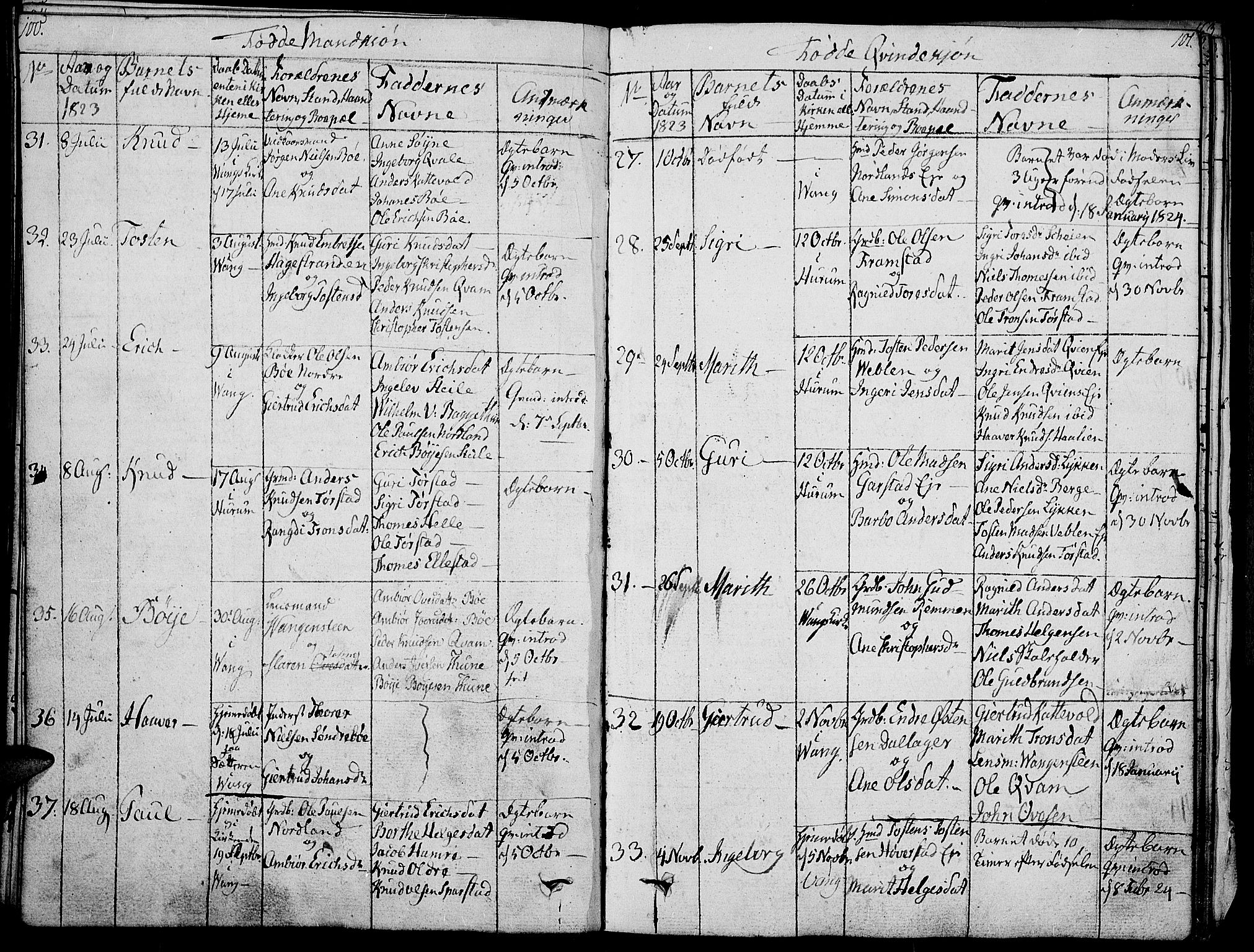 Vang prestekontor, Valdres, SAH/PREST-140/H/Ha/L0003: Parish register (official) no. 3, 1809-1831, p. 100-101