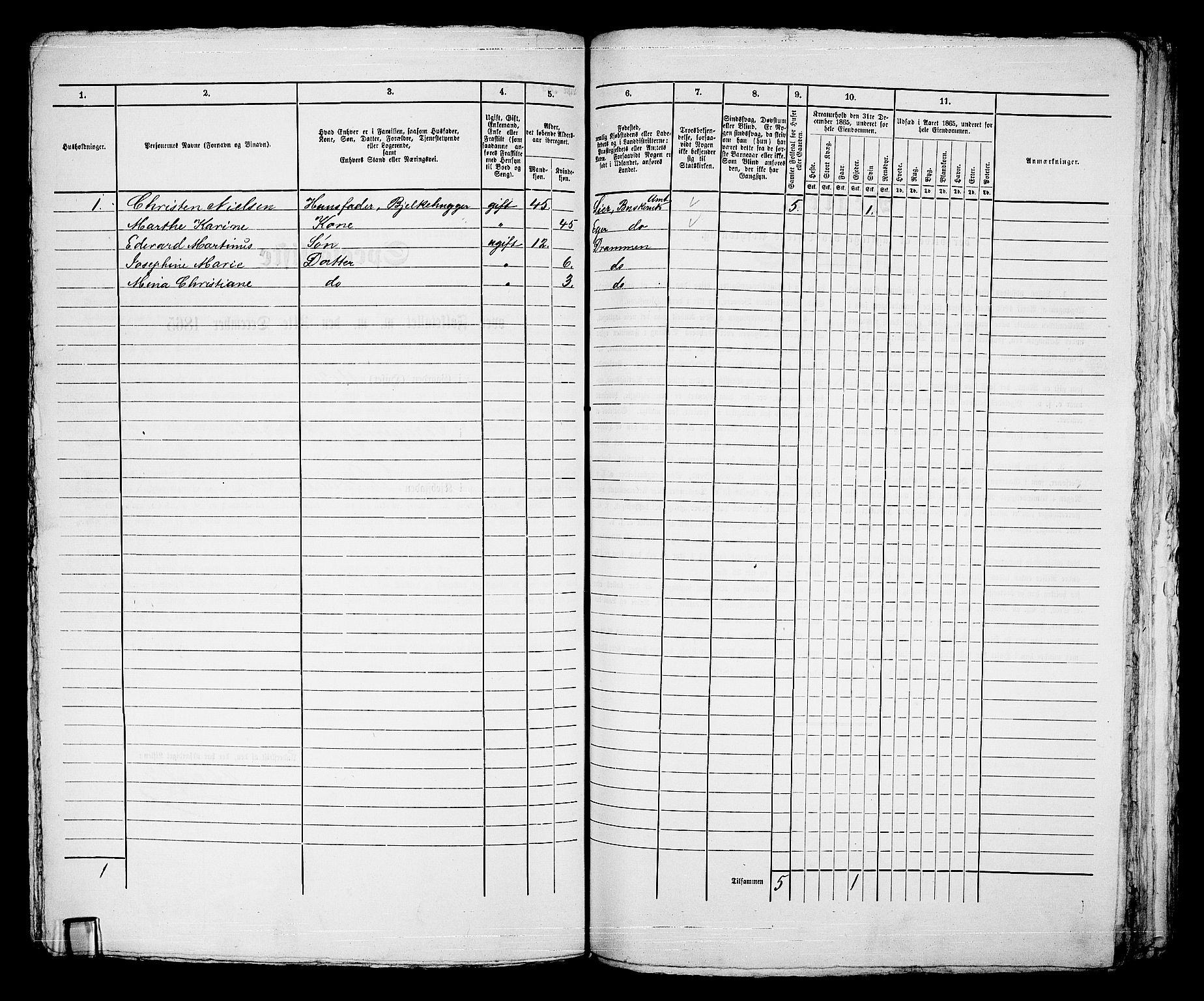 RA, 1865 census for Bragernes in Drammen, 1865, p. 300